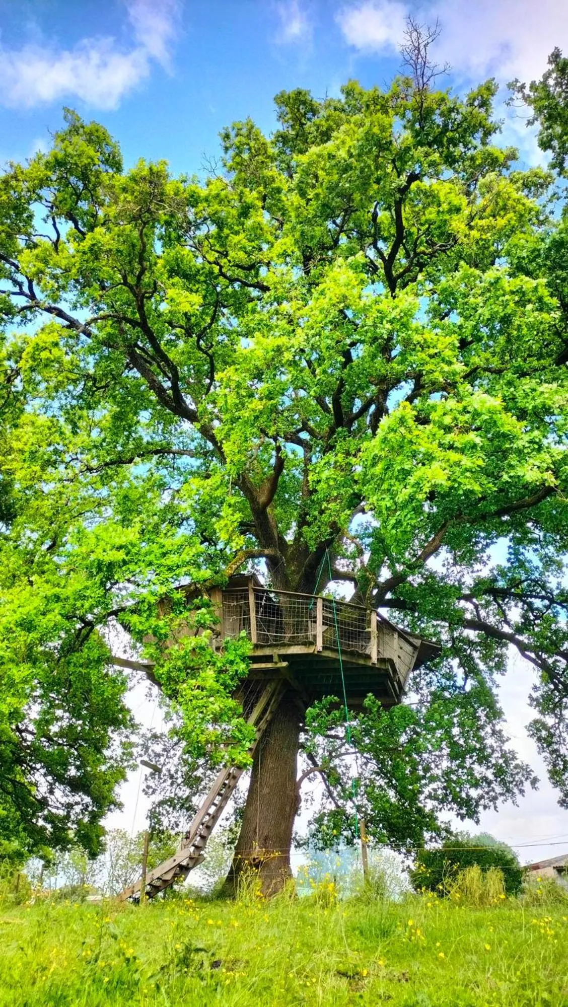 Tree House in La Libaudière