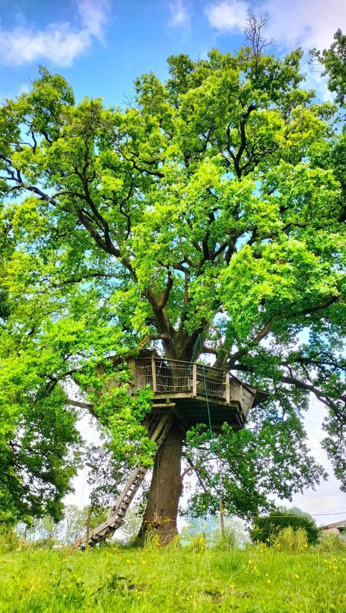 Tree House in La Libaudière Tree House in La Libaudière