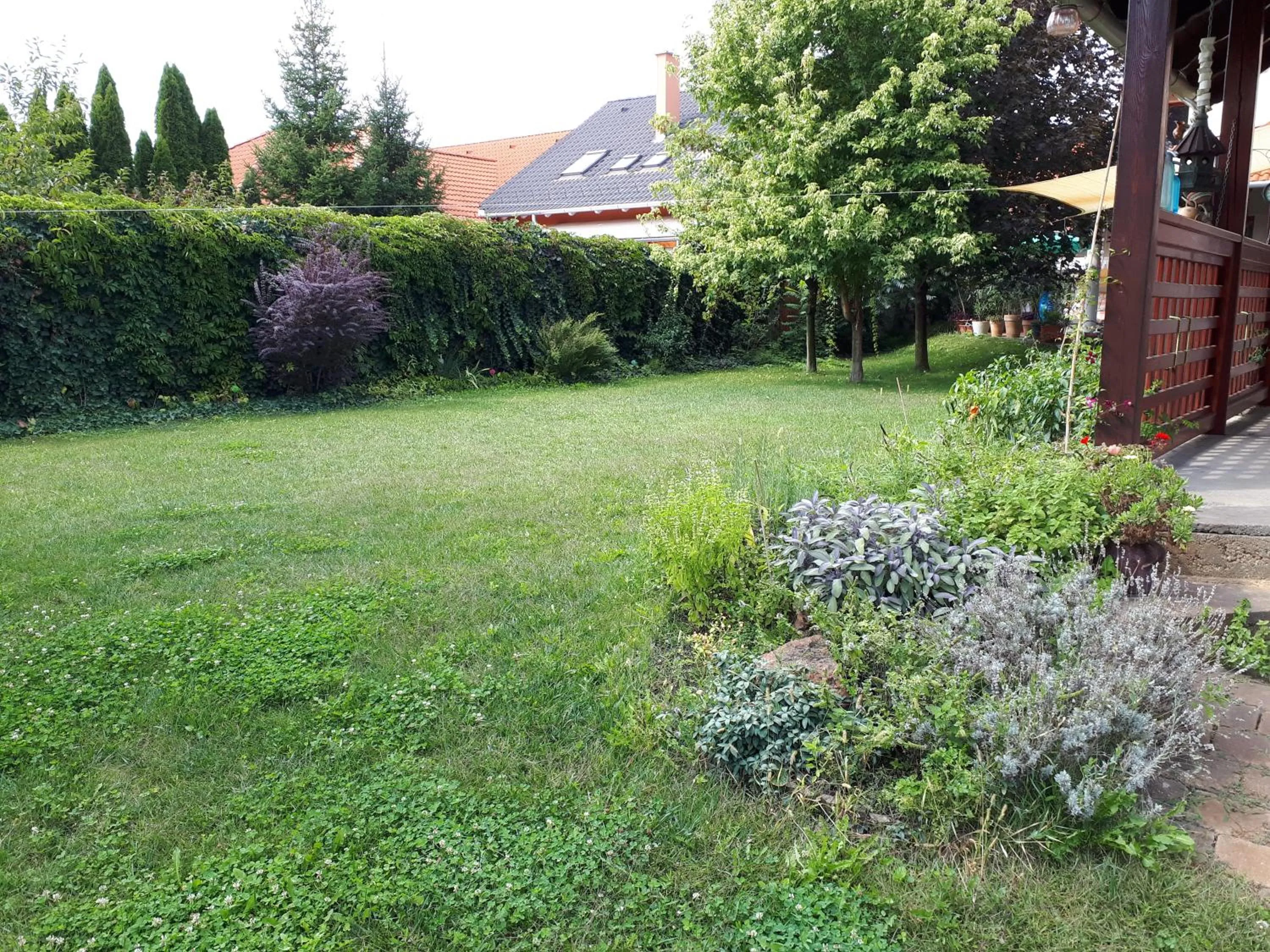 Garden in Kertvárosi Apartman