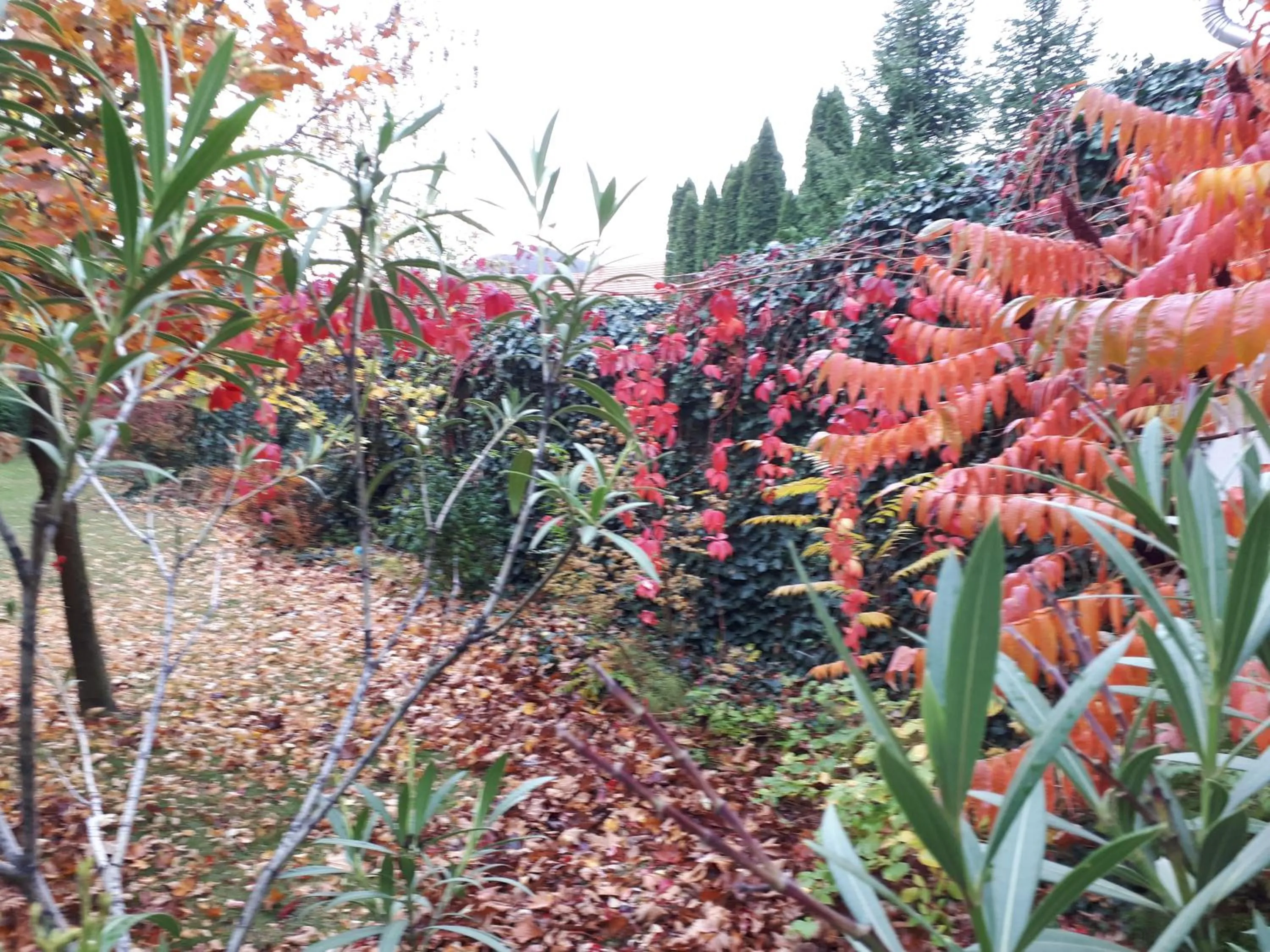 Autumn in Kertvárosi Apartman