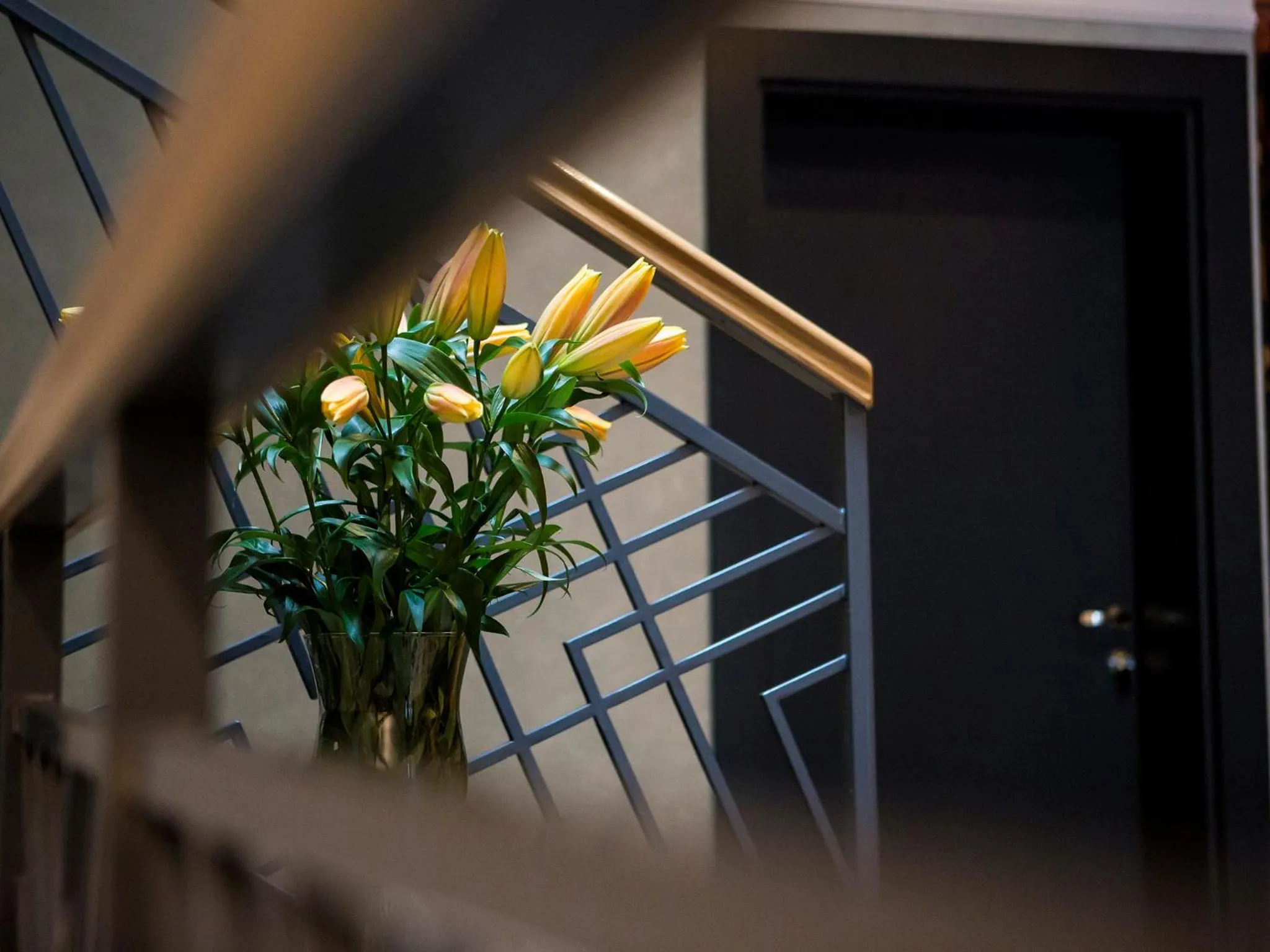 Property building in Softly Residence