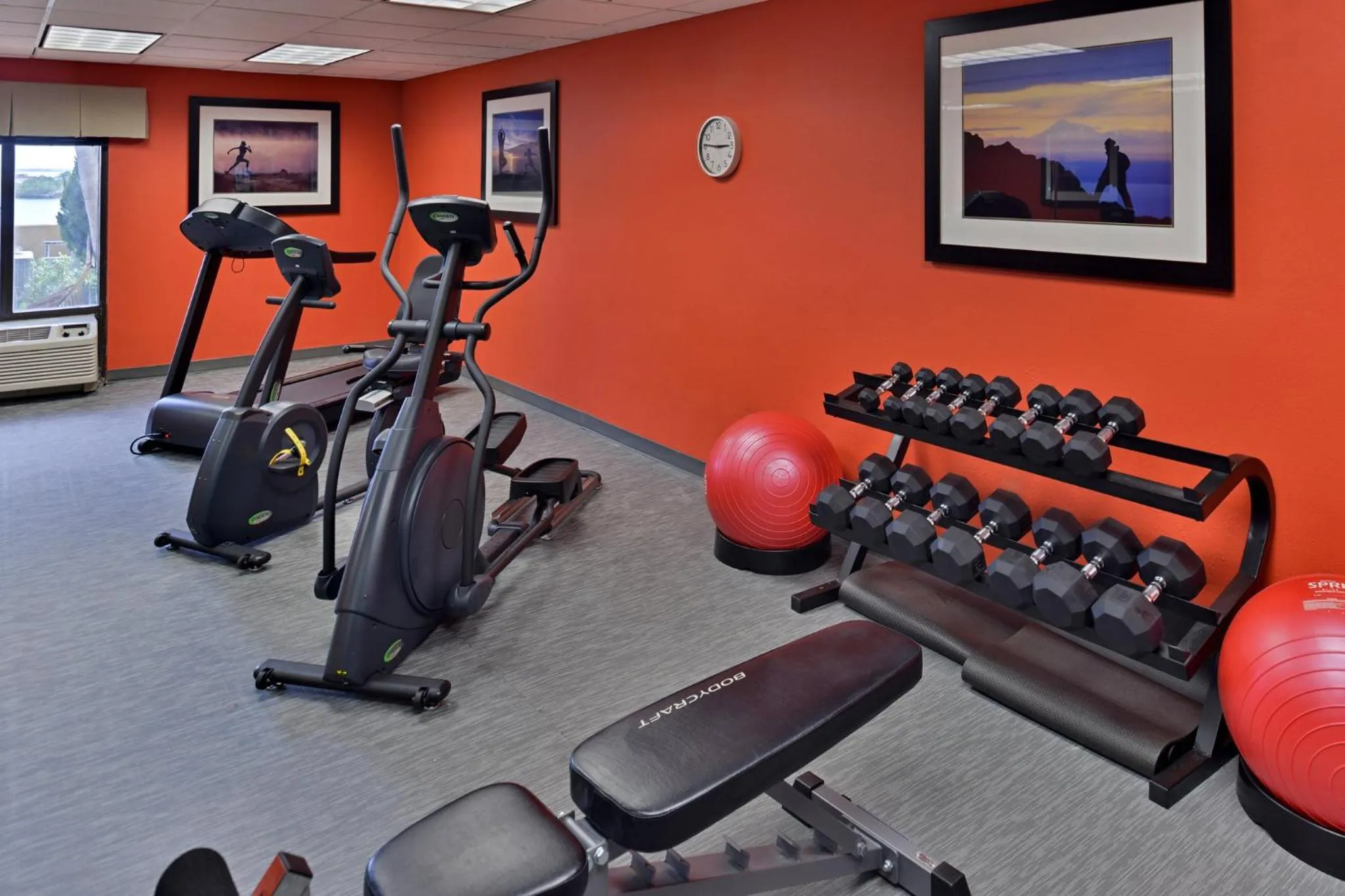 Fitness centre/facilities in Holiday Inn Express Hotel & Suites Tampa-Rocky Point Island by IHG