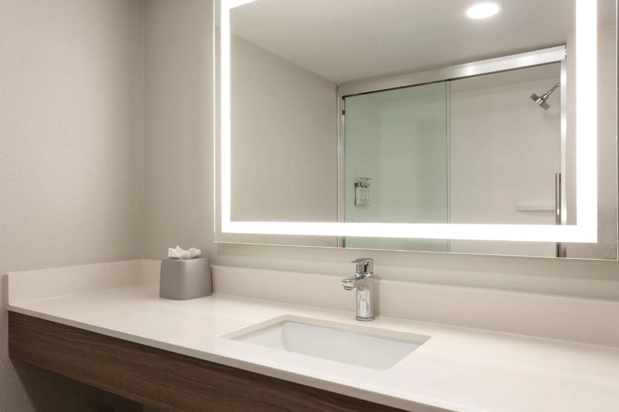 Photo of the whole room in Holiday Inn Express Hotel & Suites Tampa-Rocky Point Island by IHG