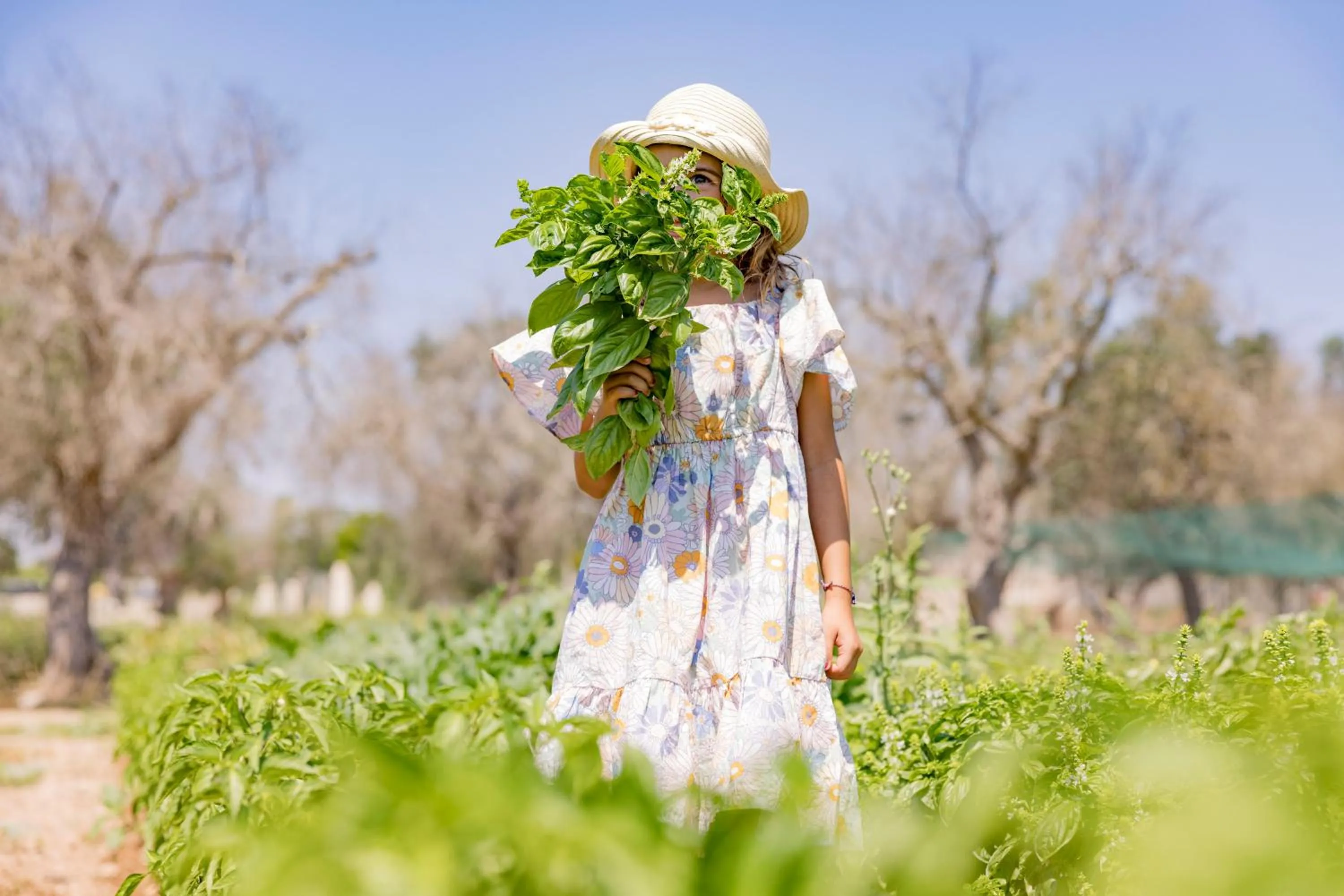 Natural landscape in Agriturismo Le Tagliate