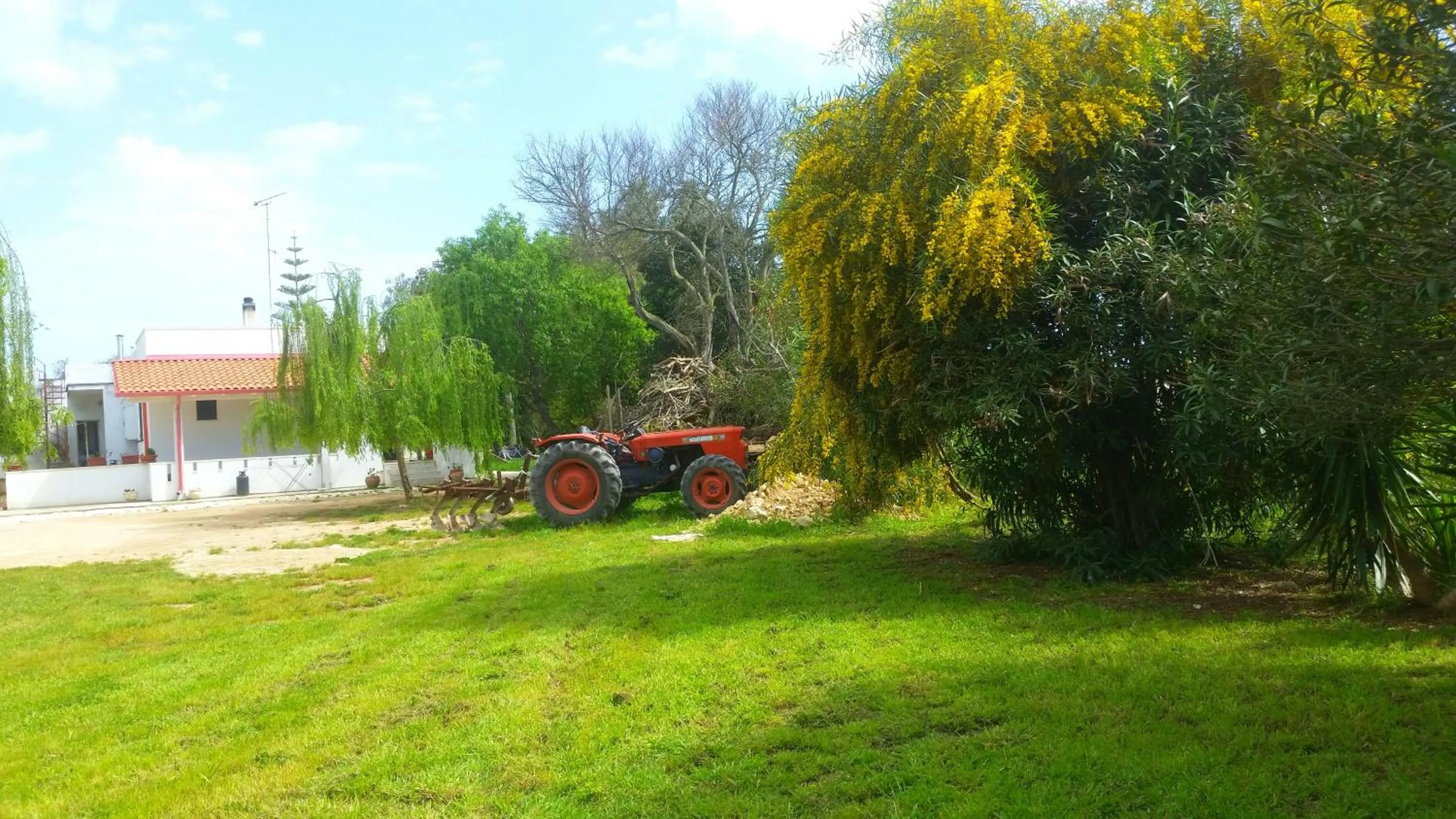 Natural landscape in Agriturismo Le Tagliate