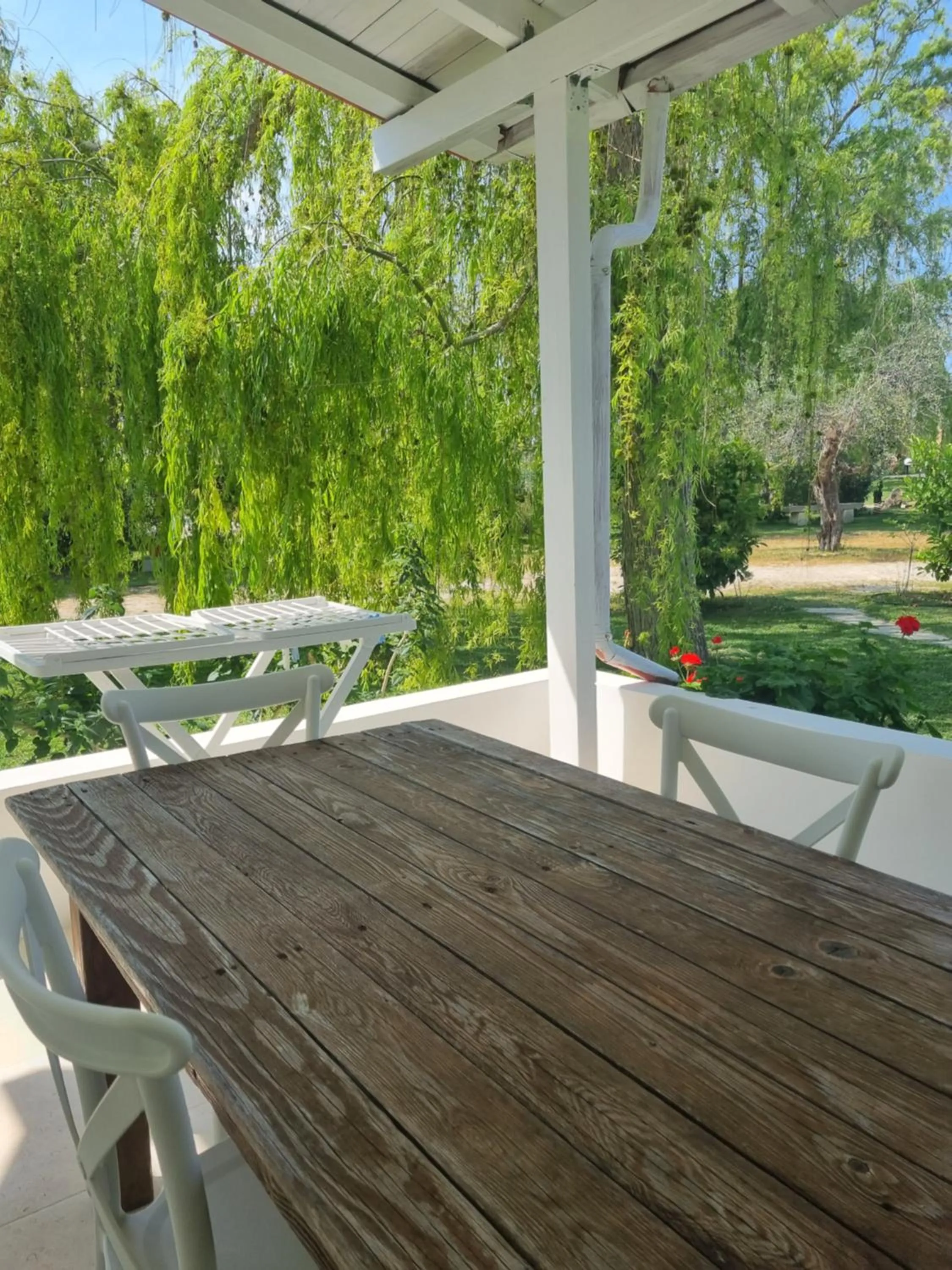 Garden in Agriturismo Le Tagliate