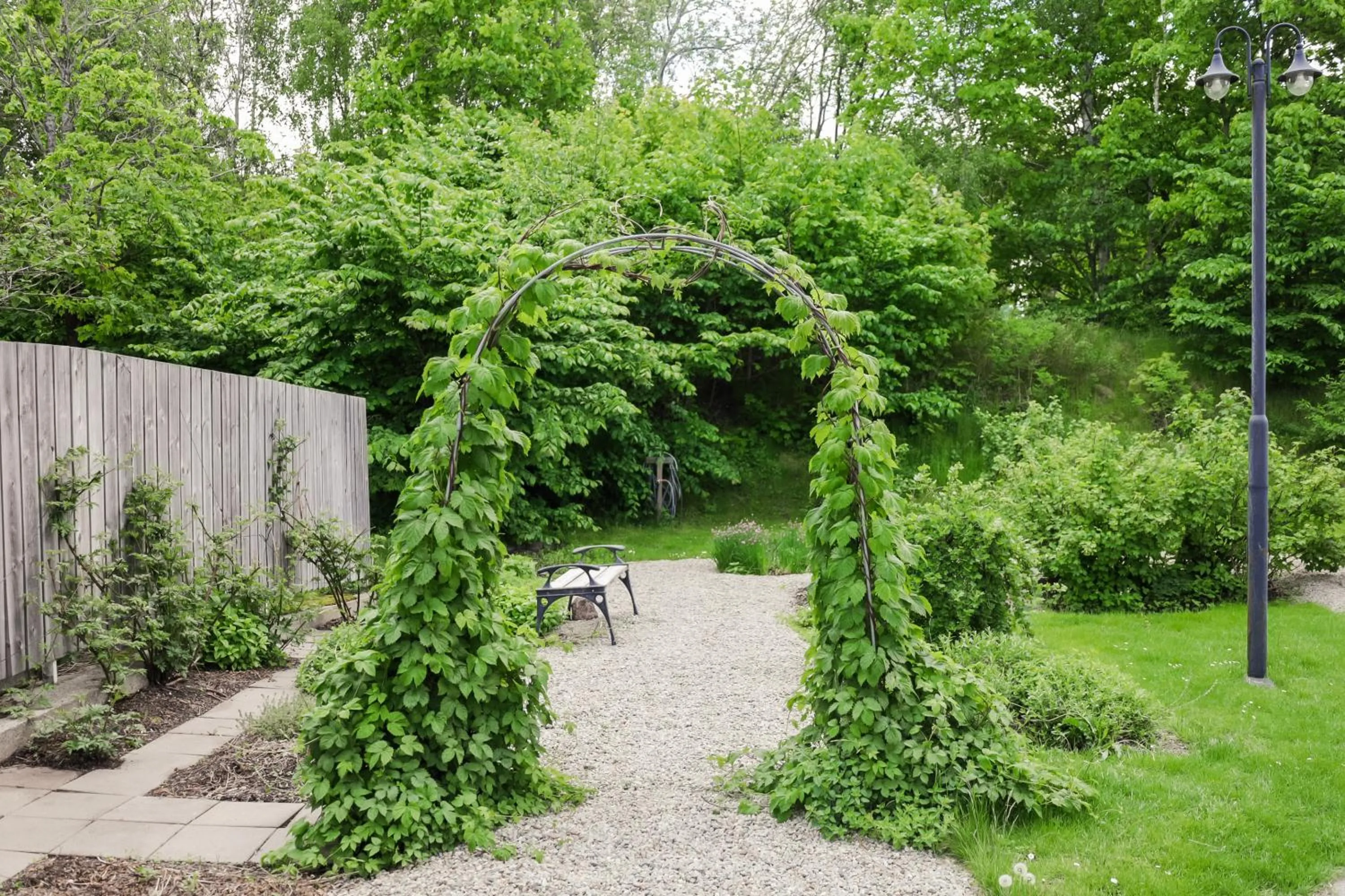 Garden in Blommenhof Hotel