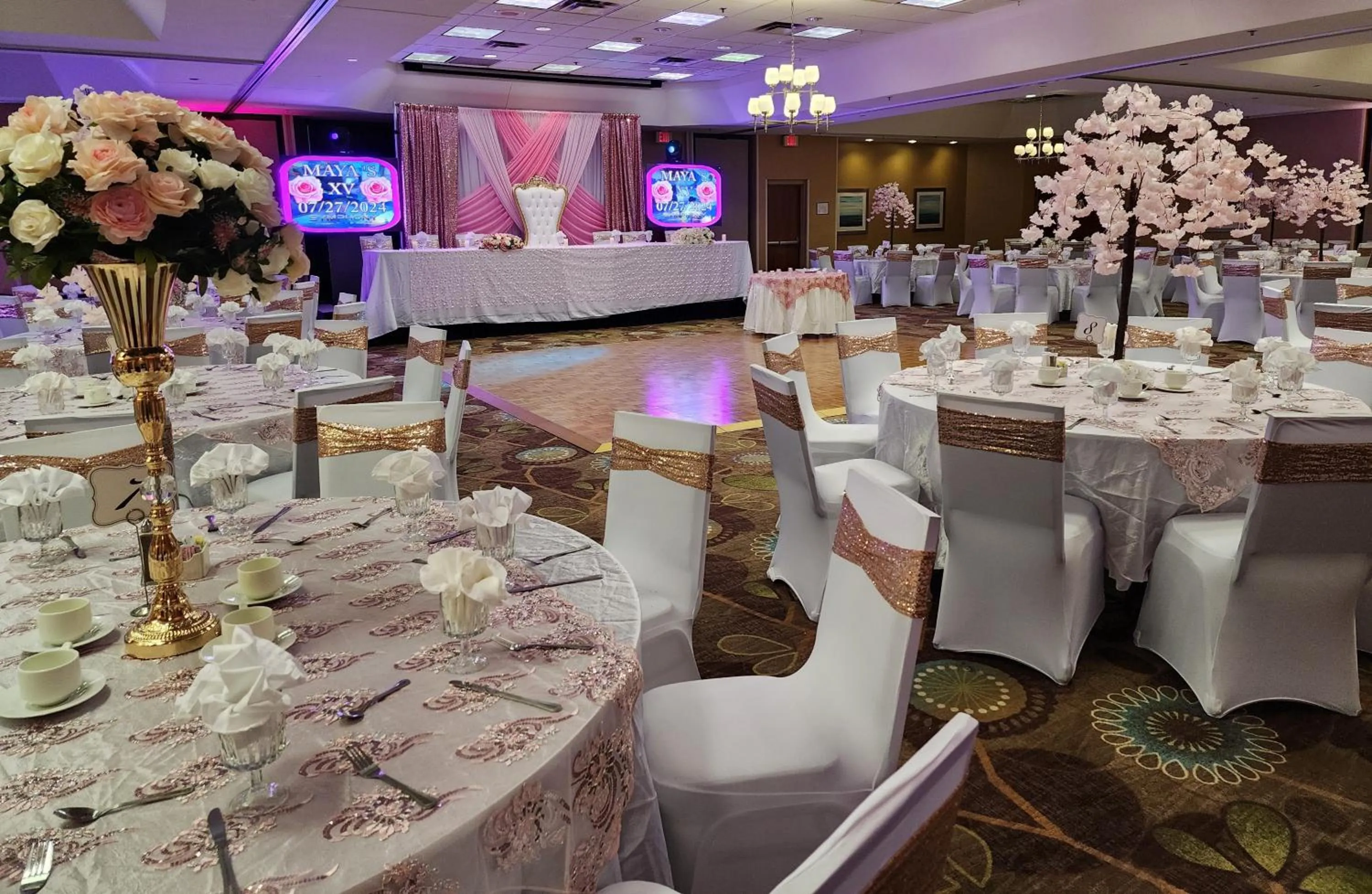 Banquet/Function facilities in Holiday Inn & Suites Bolingbrook by IHG