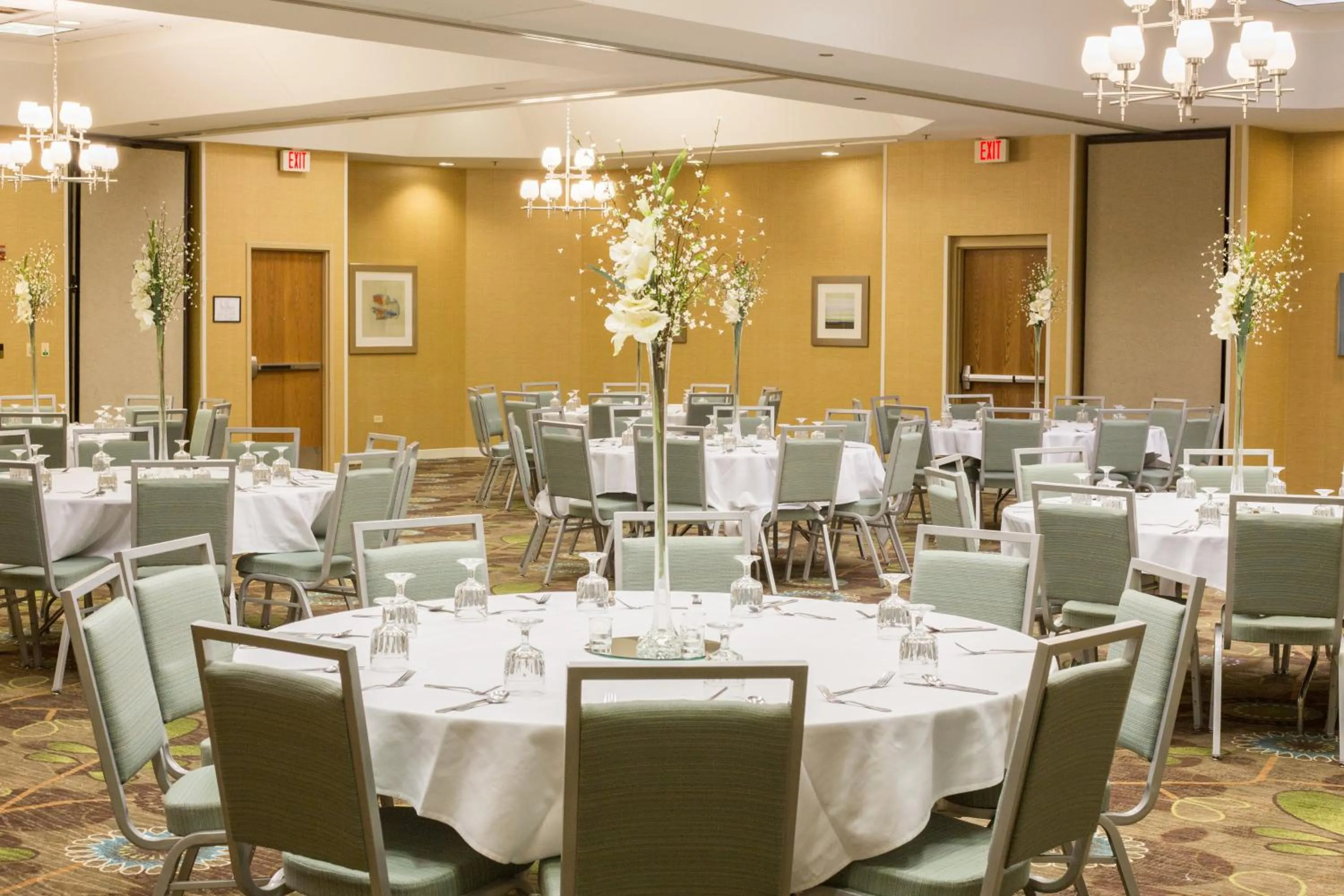 Banquet/Function facilities in Holiday Inn & Suites Bolingbrook by IHG
