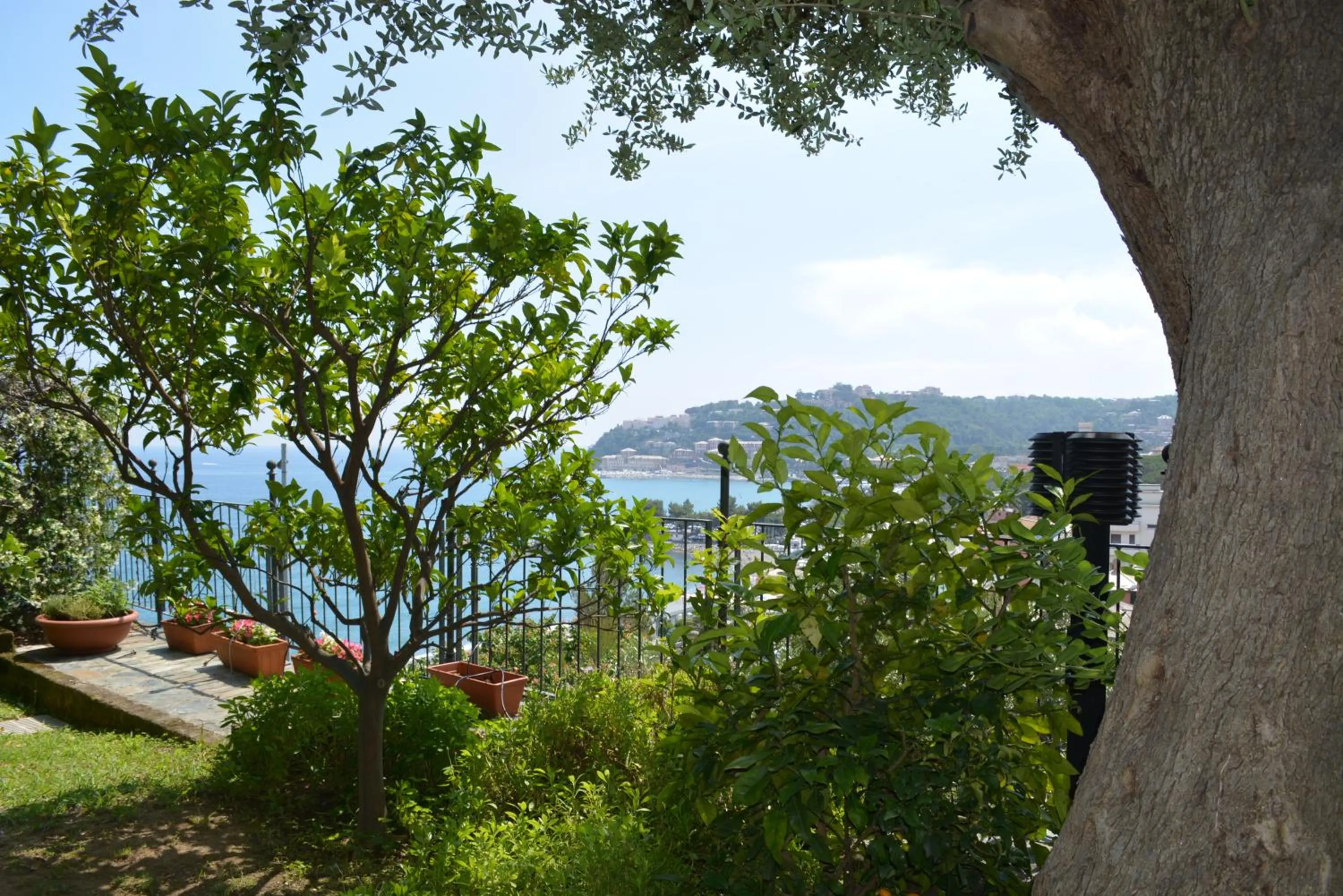 Garden in Ca da Muntà bed and breakfast