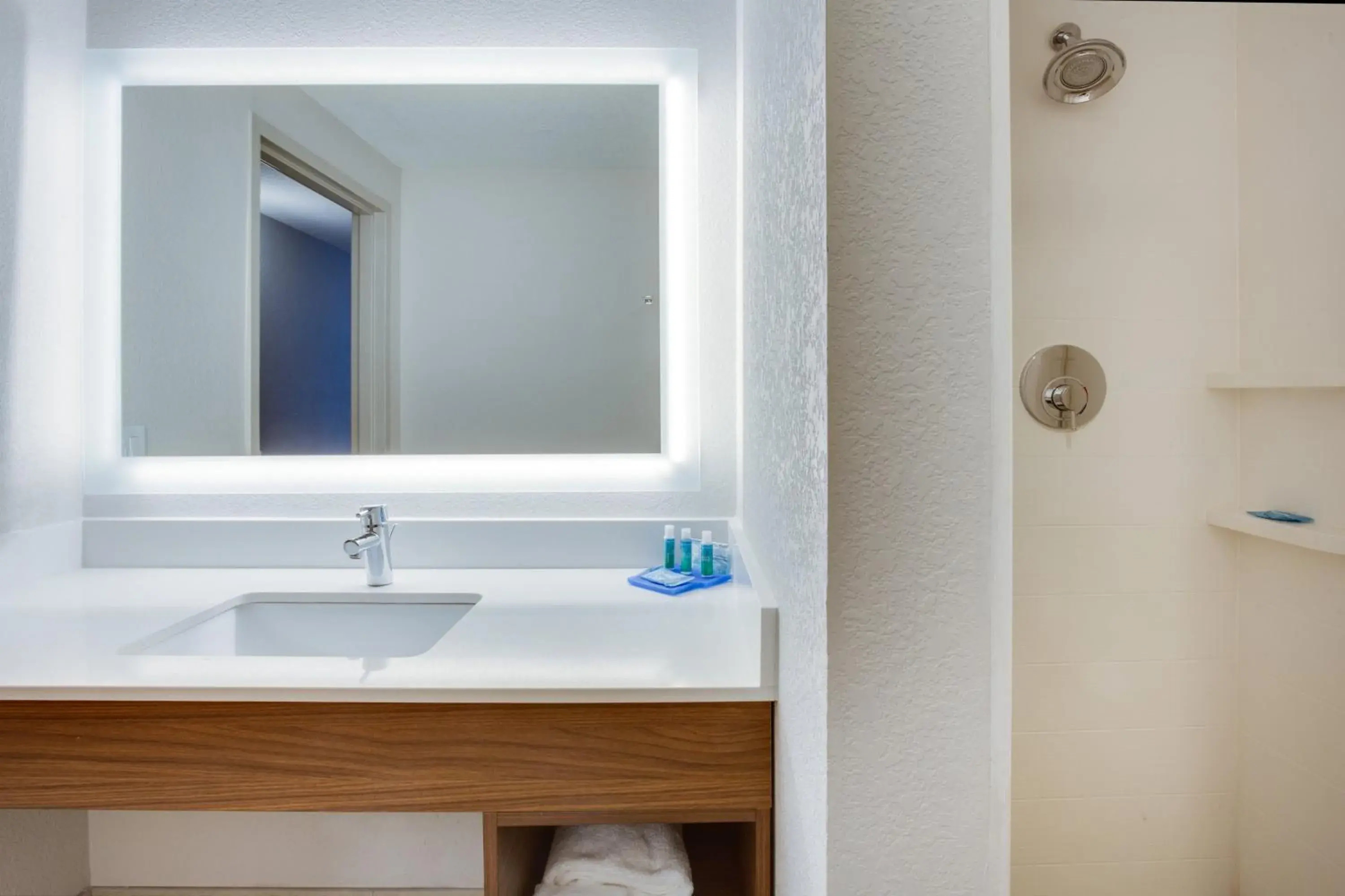 Bathroom in Holiday Inn Express Hotel & Suites Tampa-Fairgrounds-Casino by IHG Bathroom in Holiday Inn Express Hotel & Suites Tampa-Fairgrounds-Casino by IHG