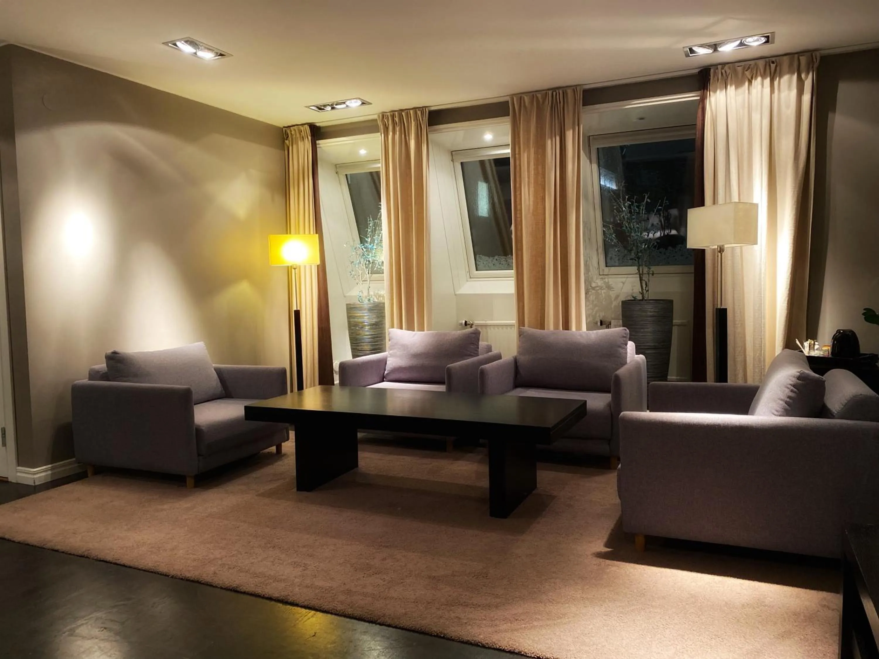 Seating area in Hotel Villan