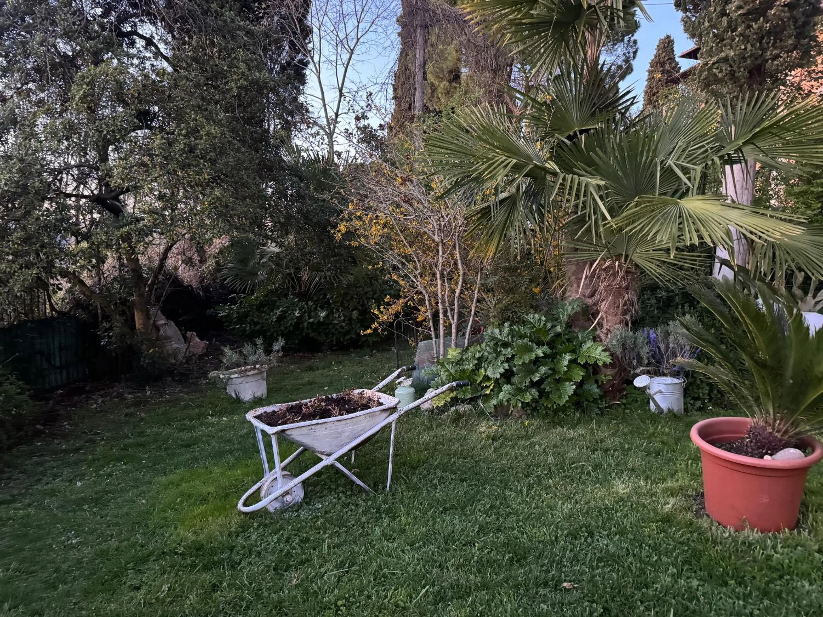 Garden view in Residenza Ca' degli Enzi