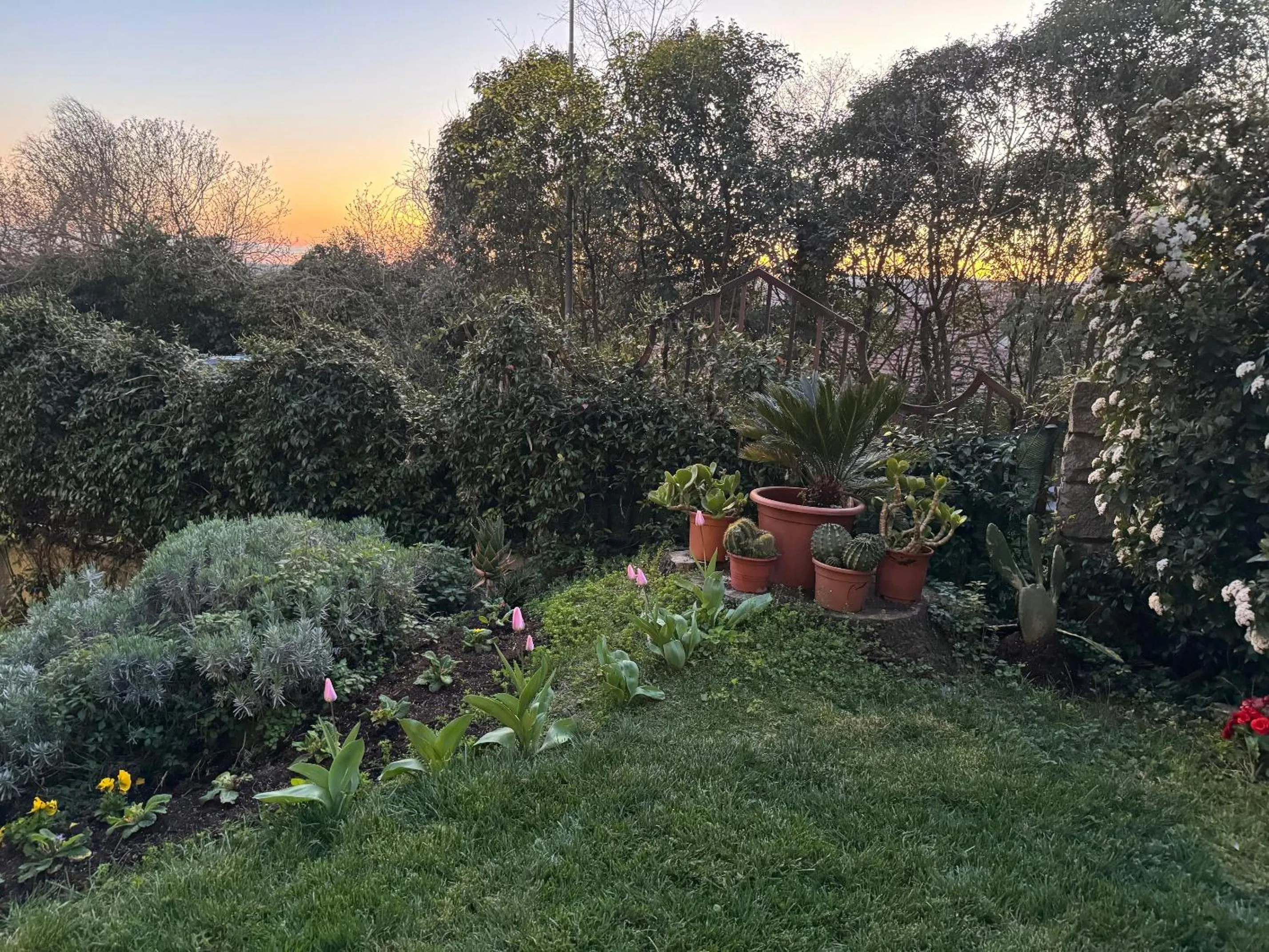 Garden view in Residenza Ca' degli Enzi