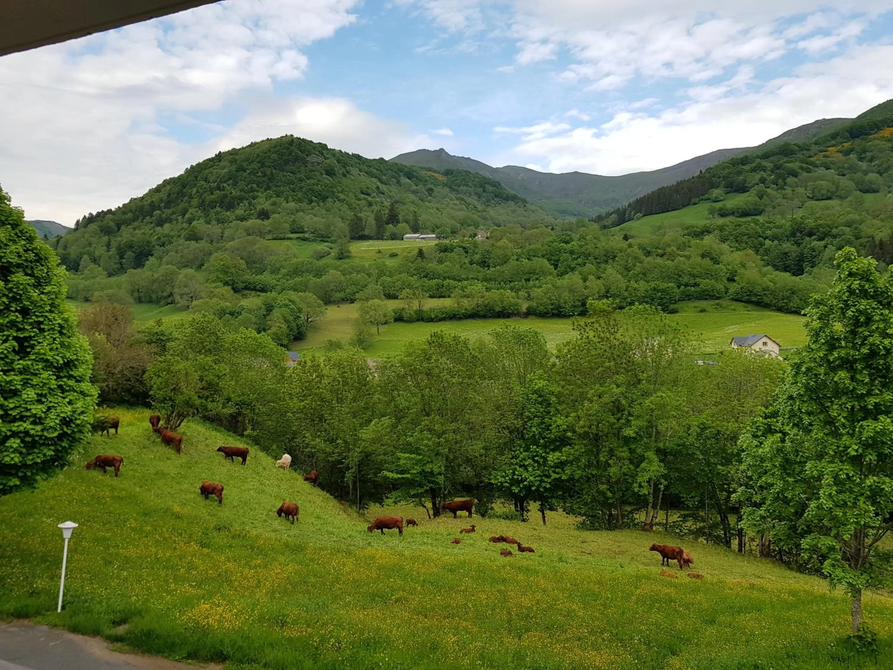 Balcony/Terrace in Le Brunet