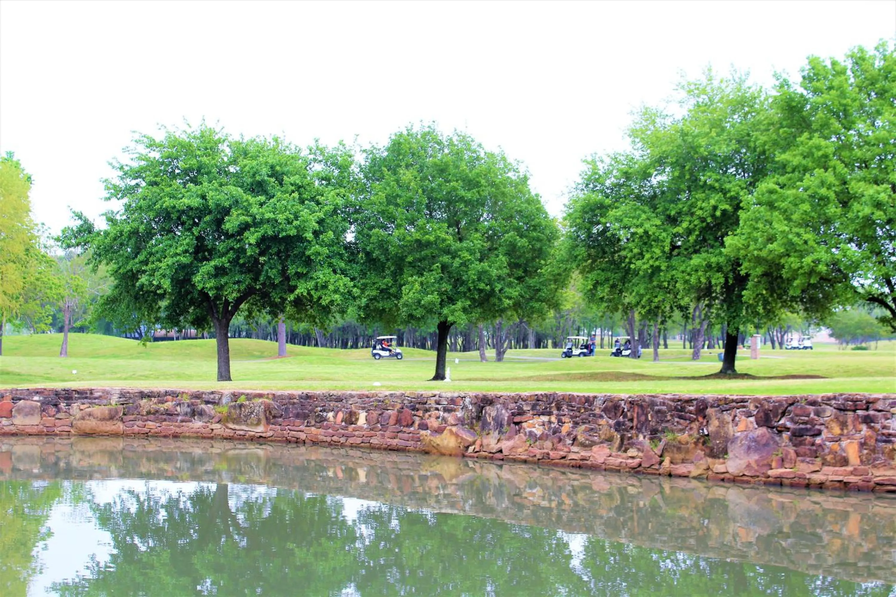 Other in Staybridge Suites Houston - Willowbrook by IHG