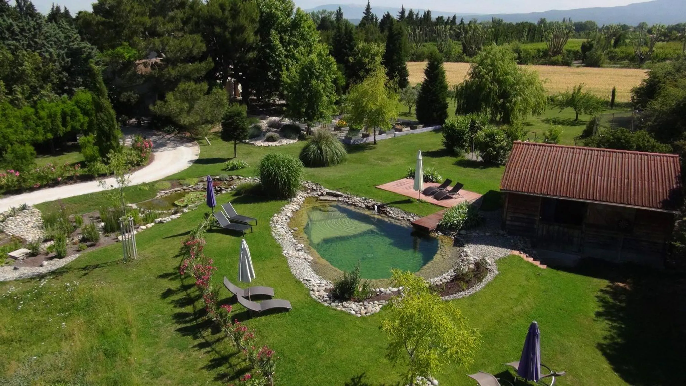 Bird's eye view in Couleur Lavande