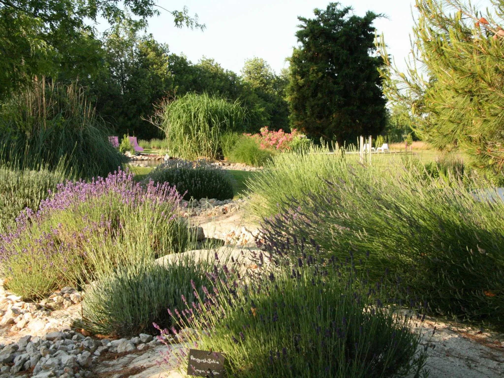 Garden in Couleur Lavande