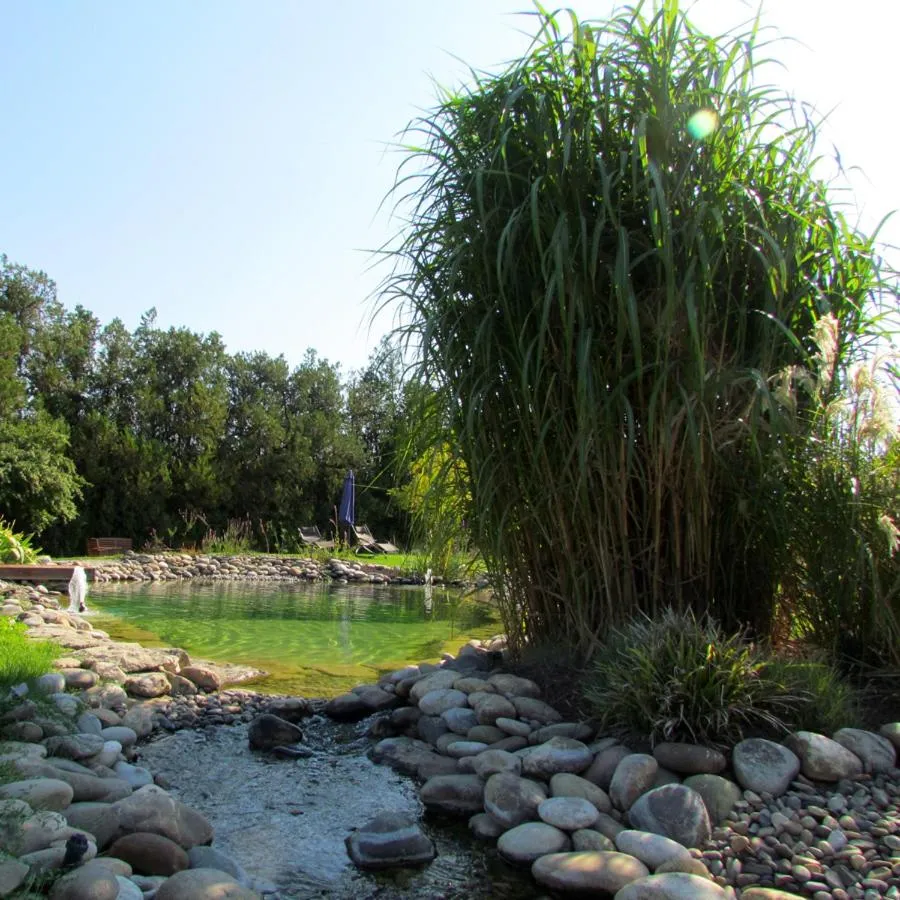 Swimming pool in Couleur Lavande