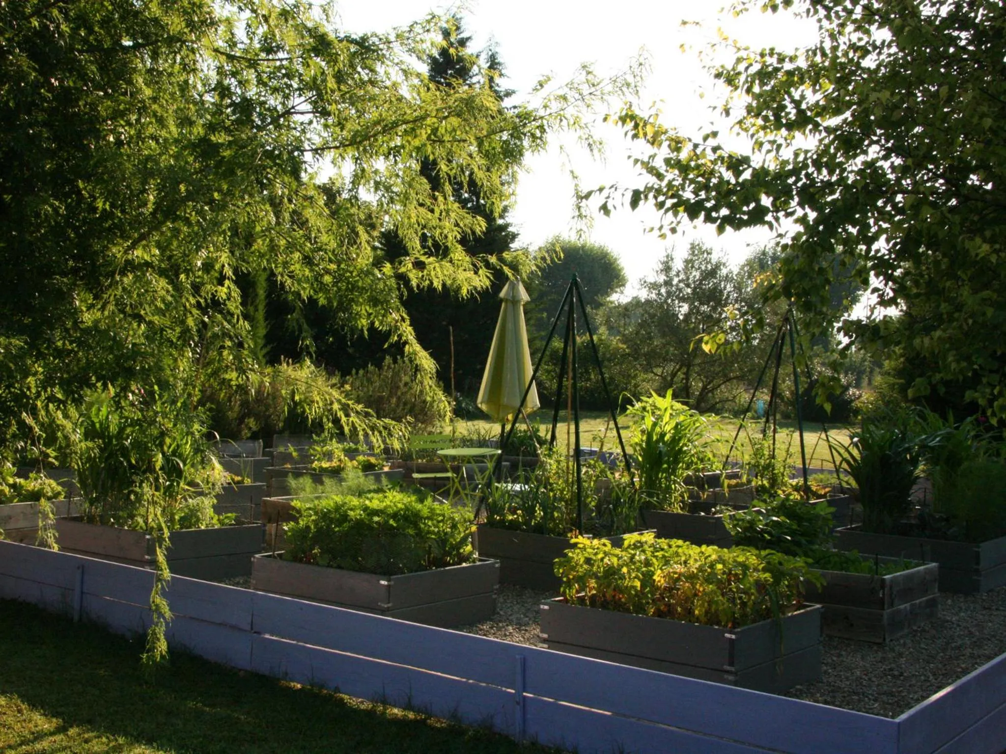 Garden in Couleur Lavande