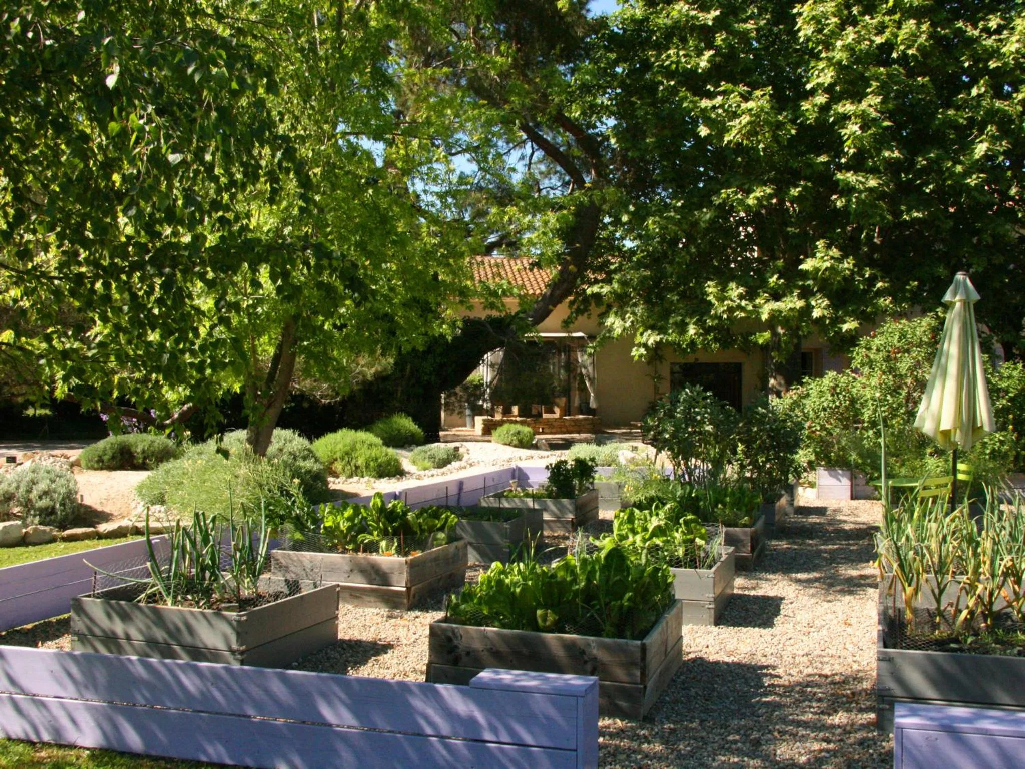 Garden in Couleur Lavande