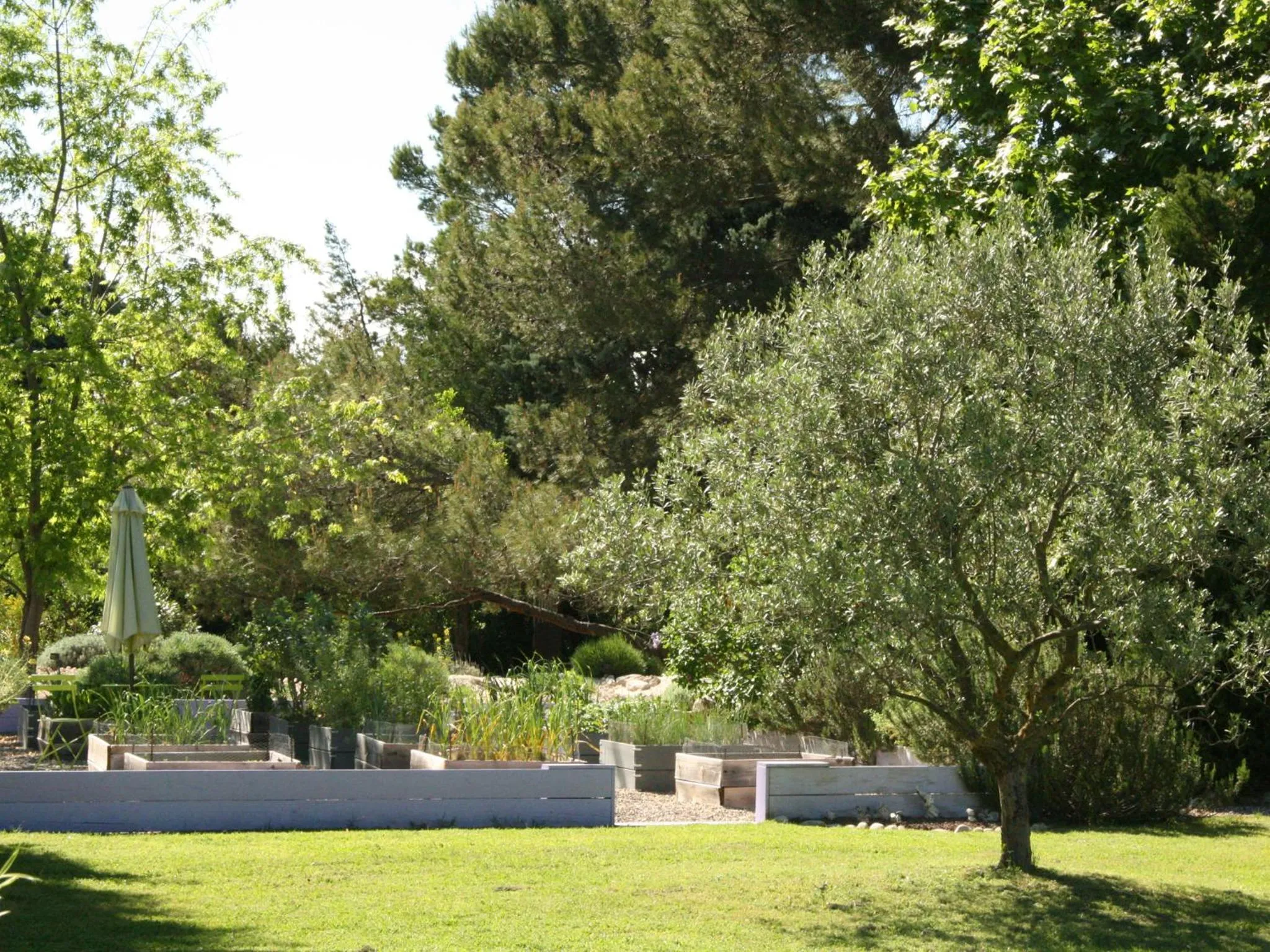 Garden in Couleur Lavande