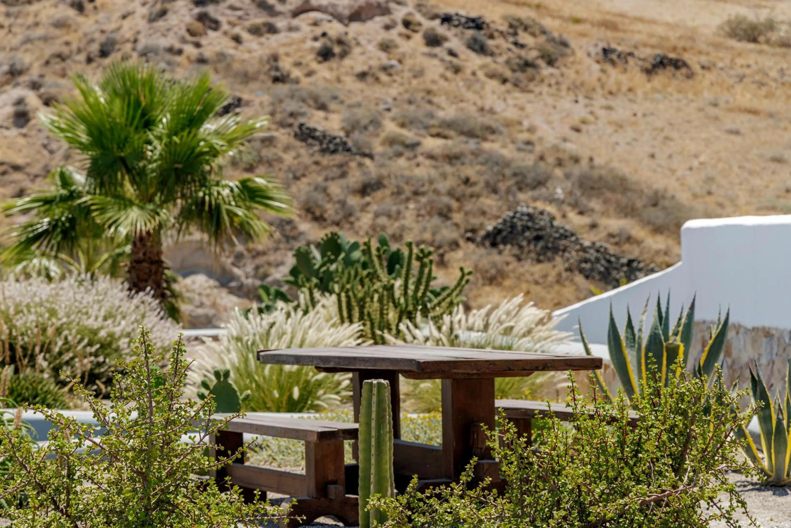 Patio in Desiterra Resort & Spa