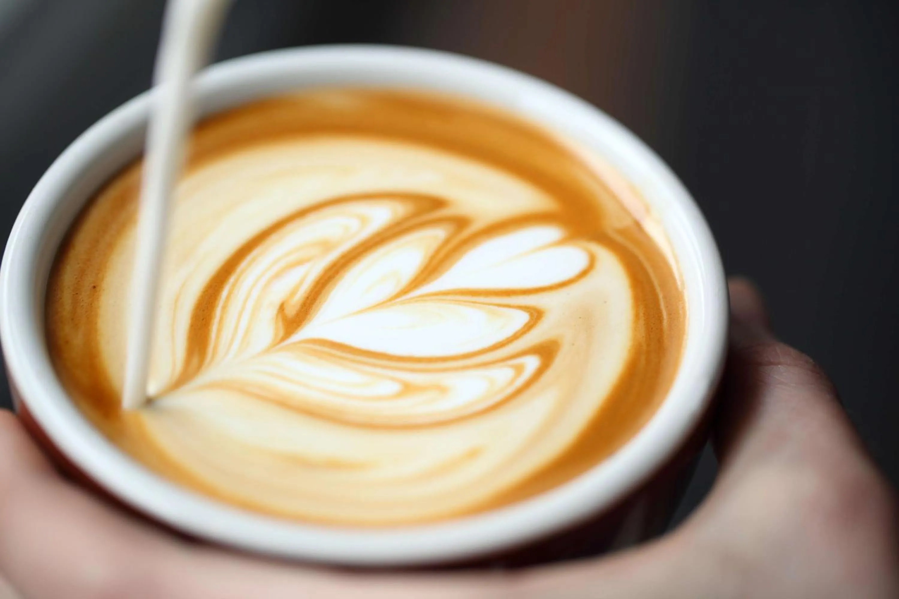 Restaurant/places to eat in The Laurel Inn, part of JdV by Hyatt