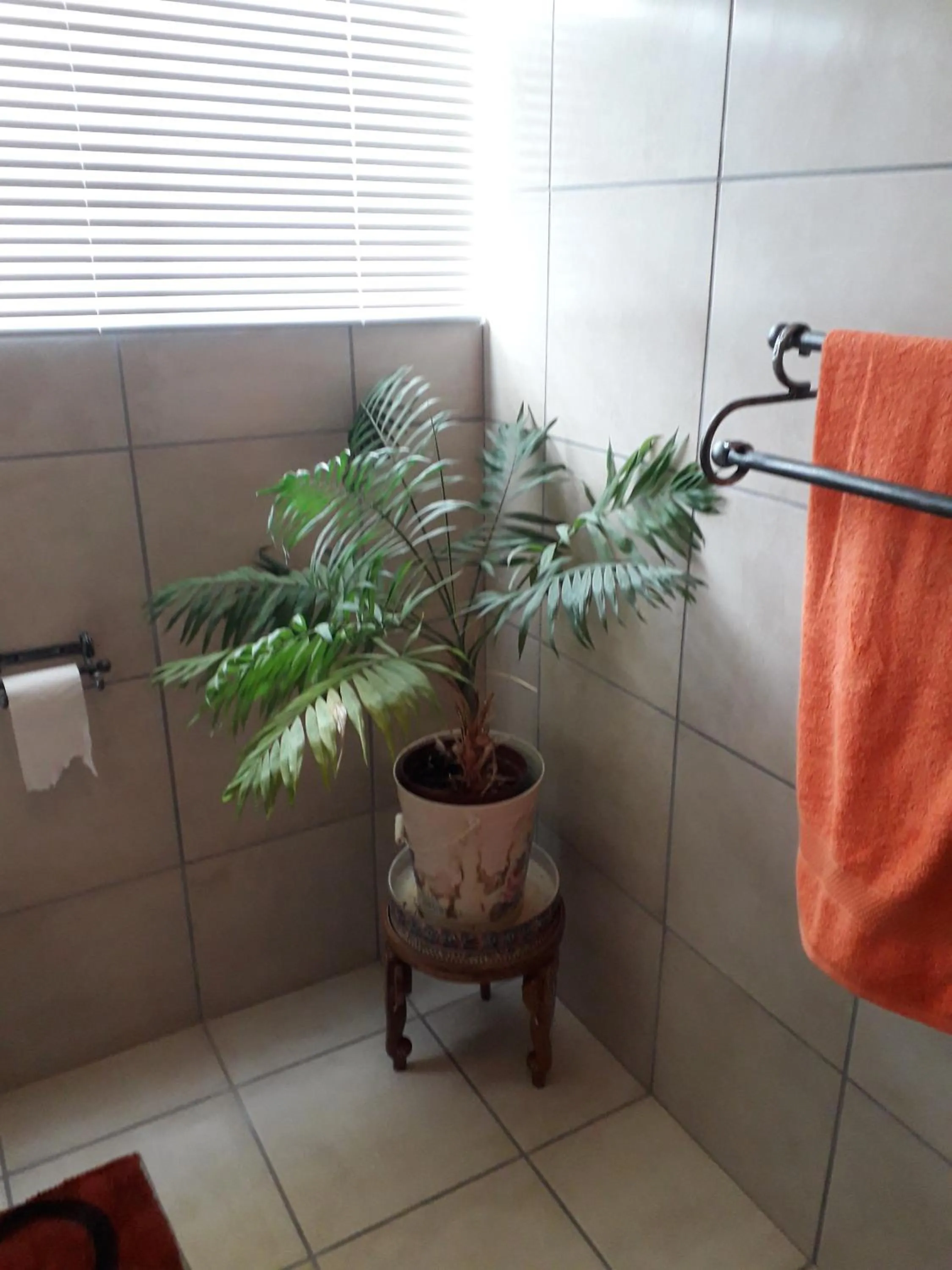 Bathroom in At The View B&B