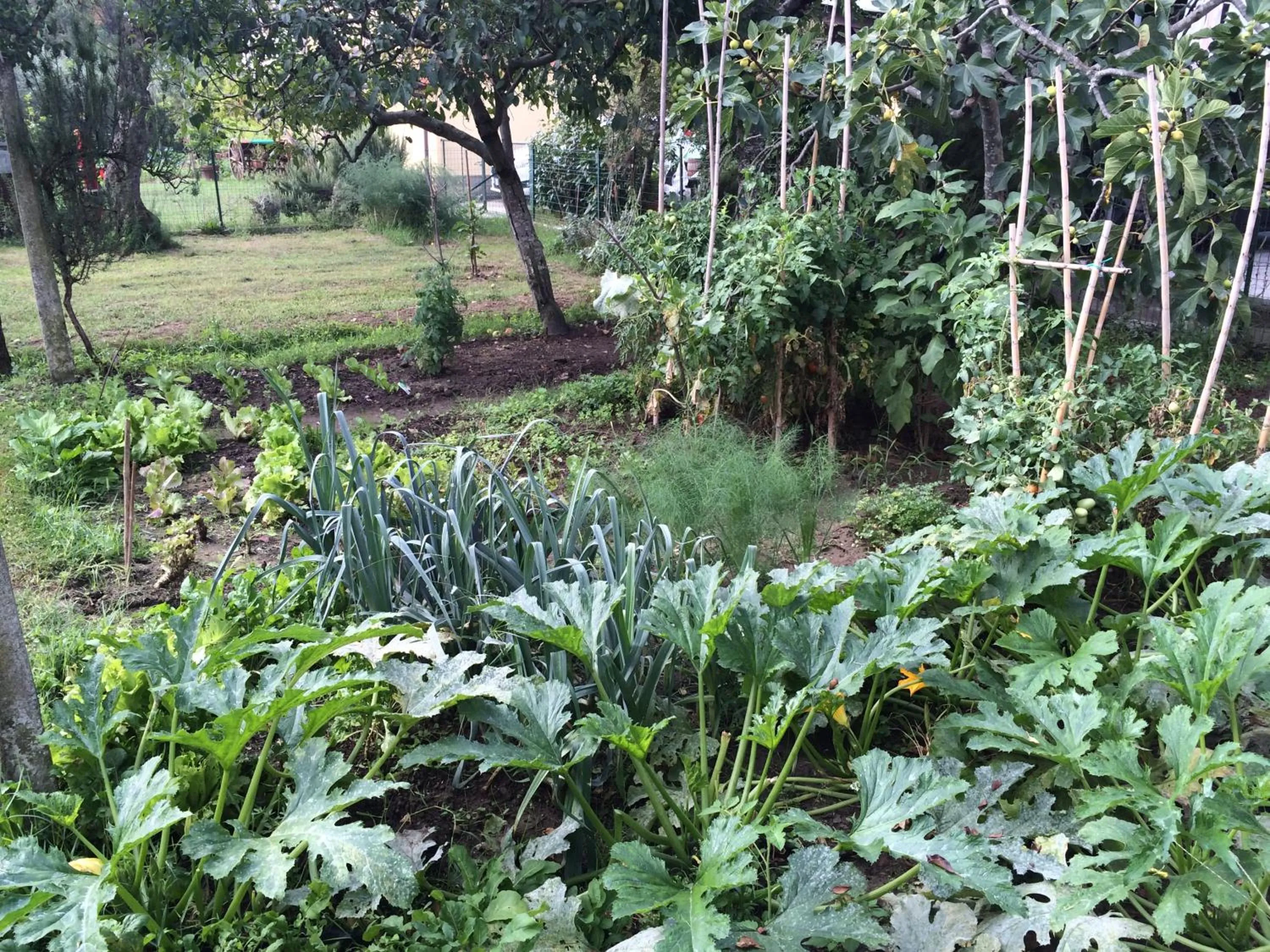 Garden view in Residenza il Casone