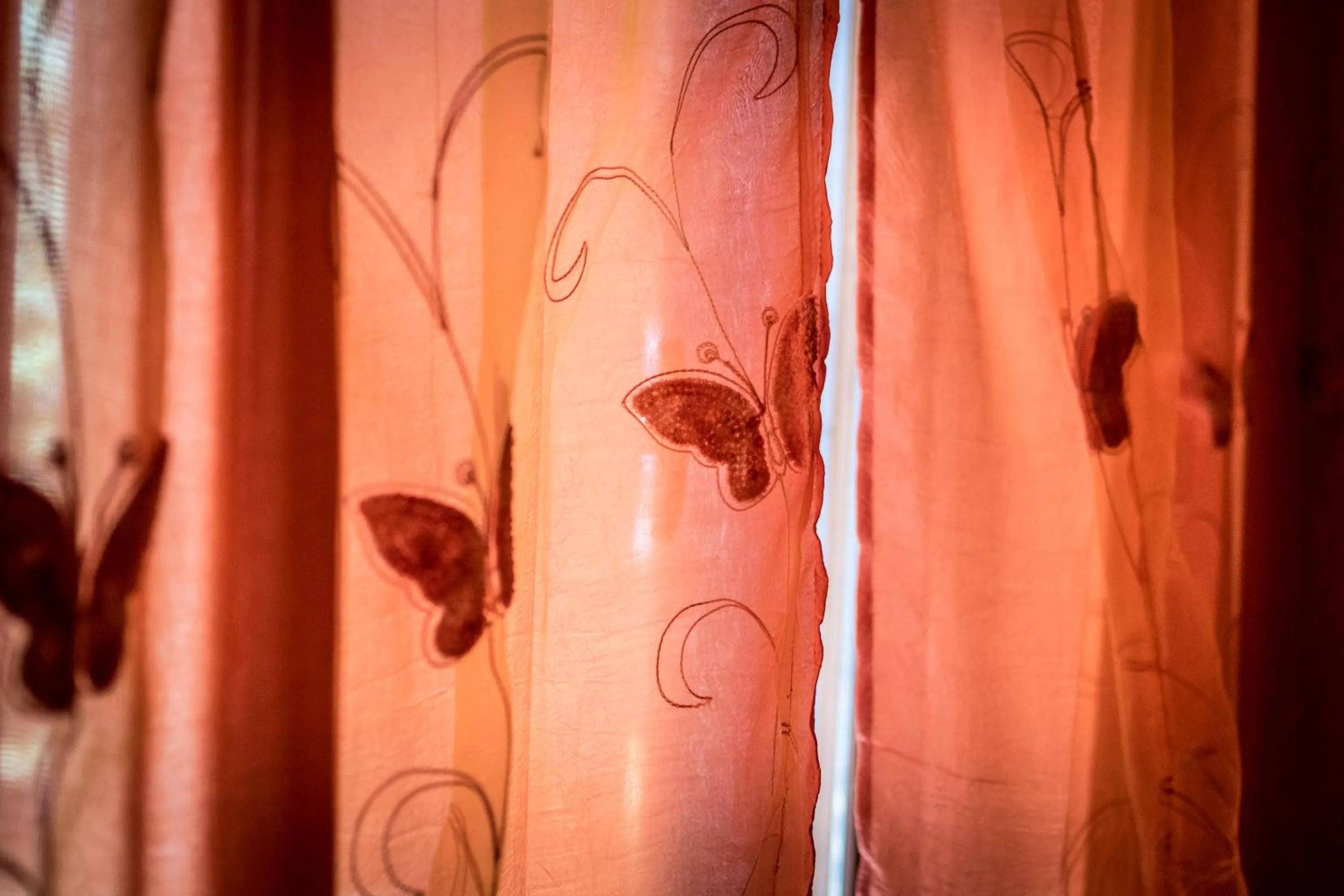 Decorative detail in Residenza il Casone