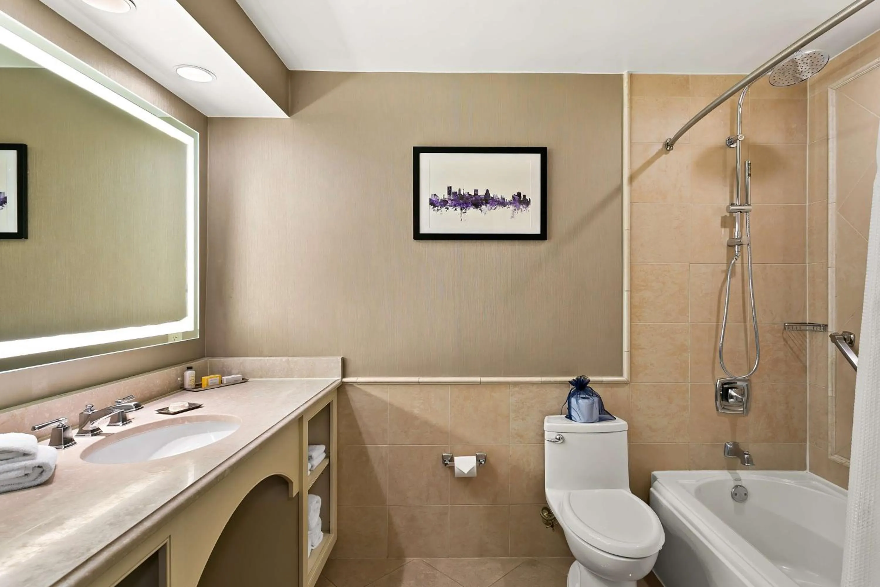 Bathroom in The Royal Sonesta Harbor Court Baltimore