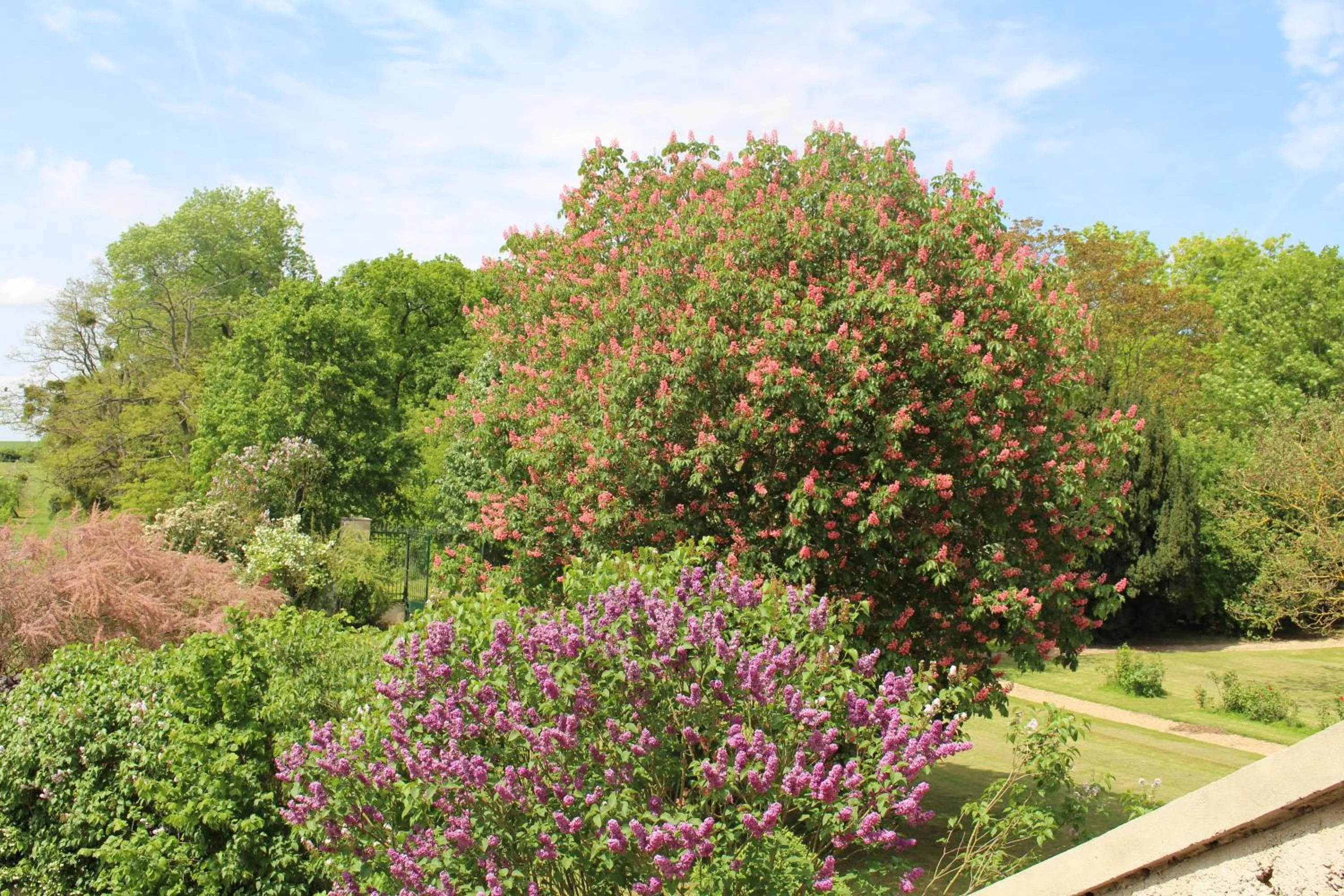 Garden in Ferme de la Vallière