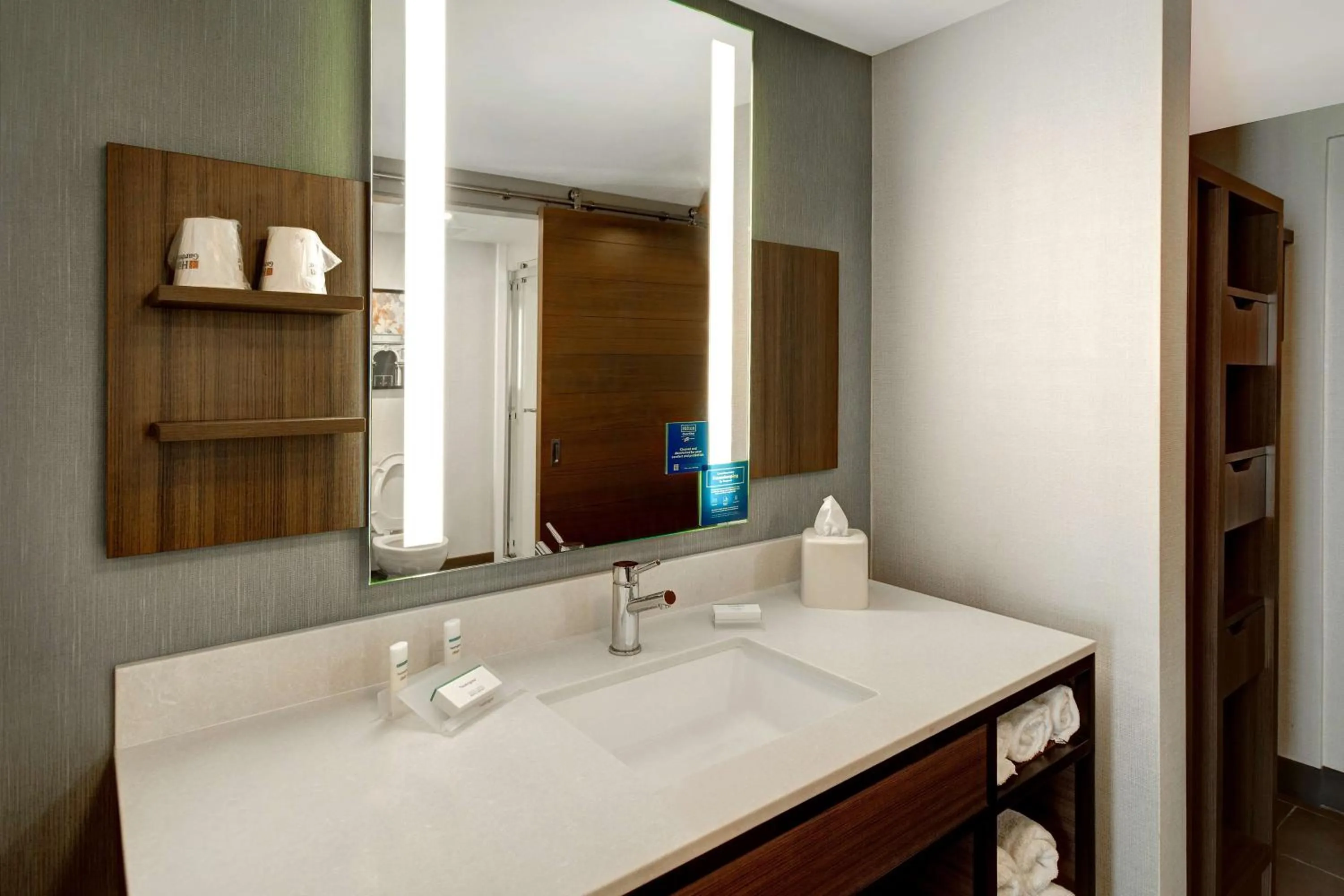 Bathroom in Hilton Garden Inn Terre Haute