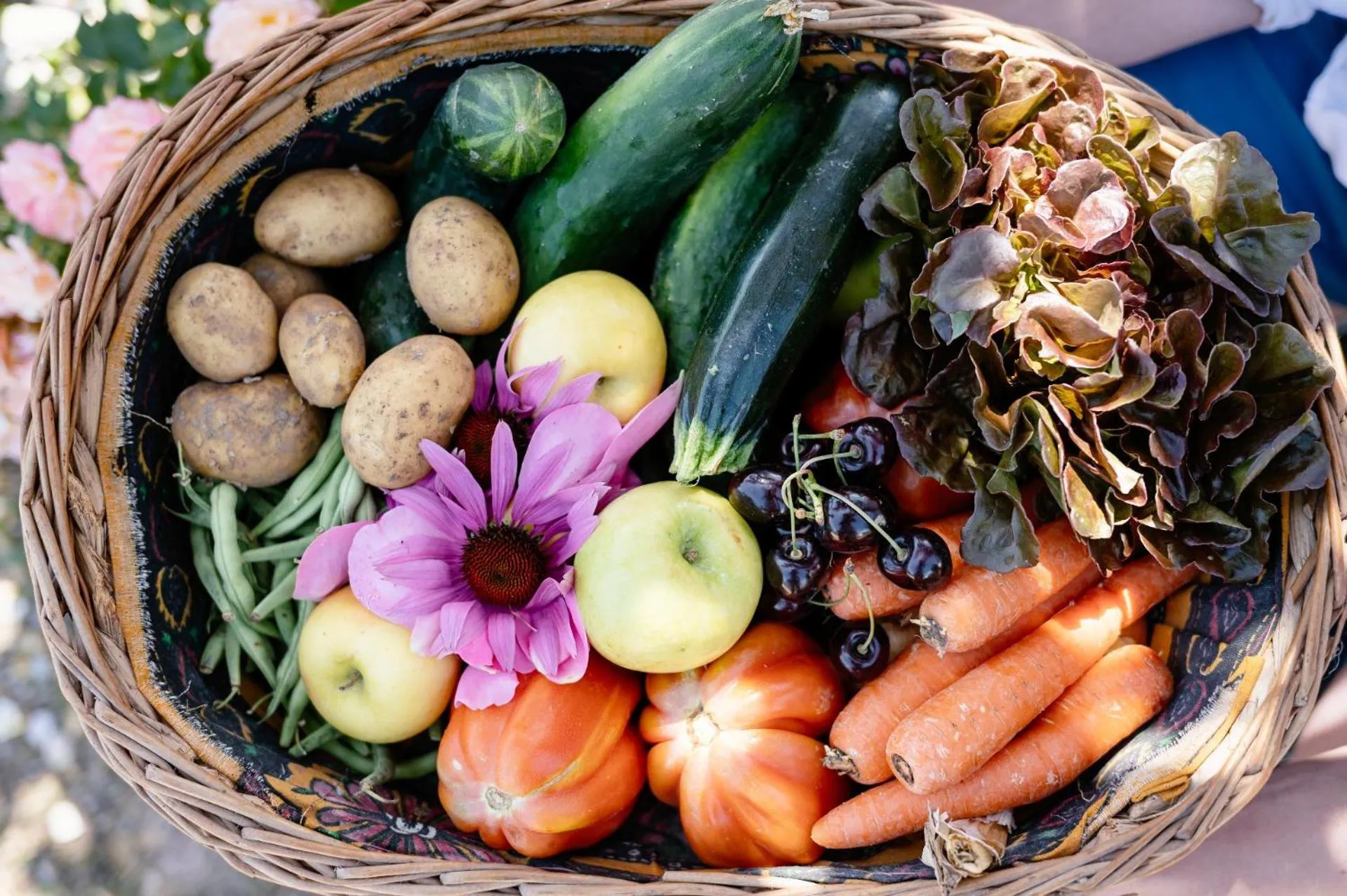 Food and drinks in Agritur Maso alle Rose B&B e Restaurant