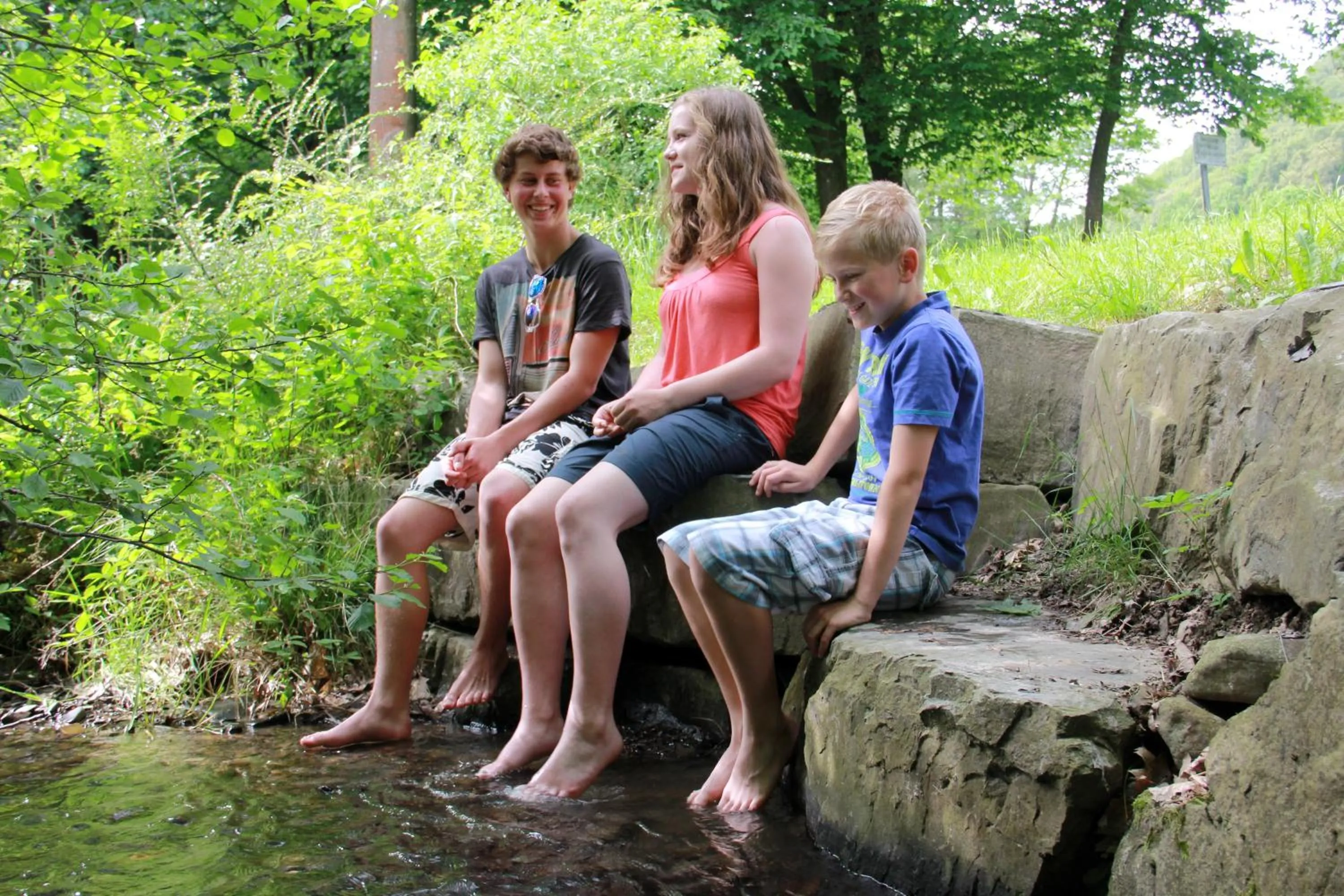 Natural landscape in Landidyll Landhaus Liesetal