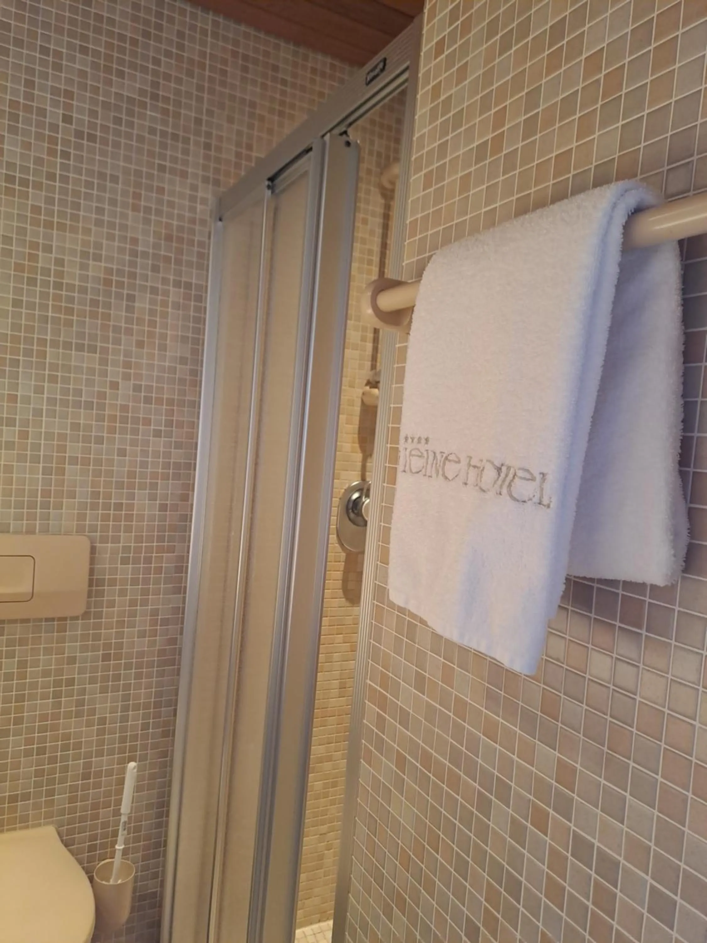 Shower in Leine Hotel