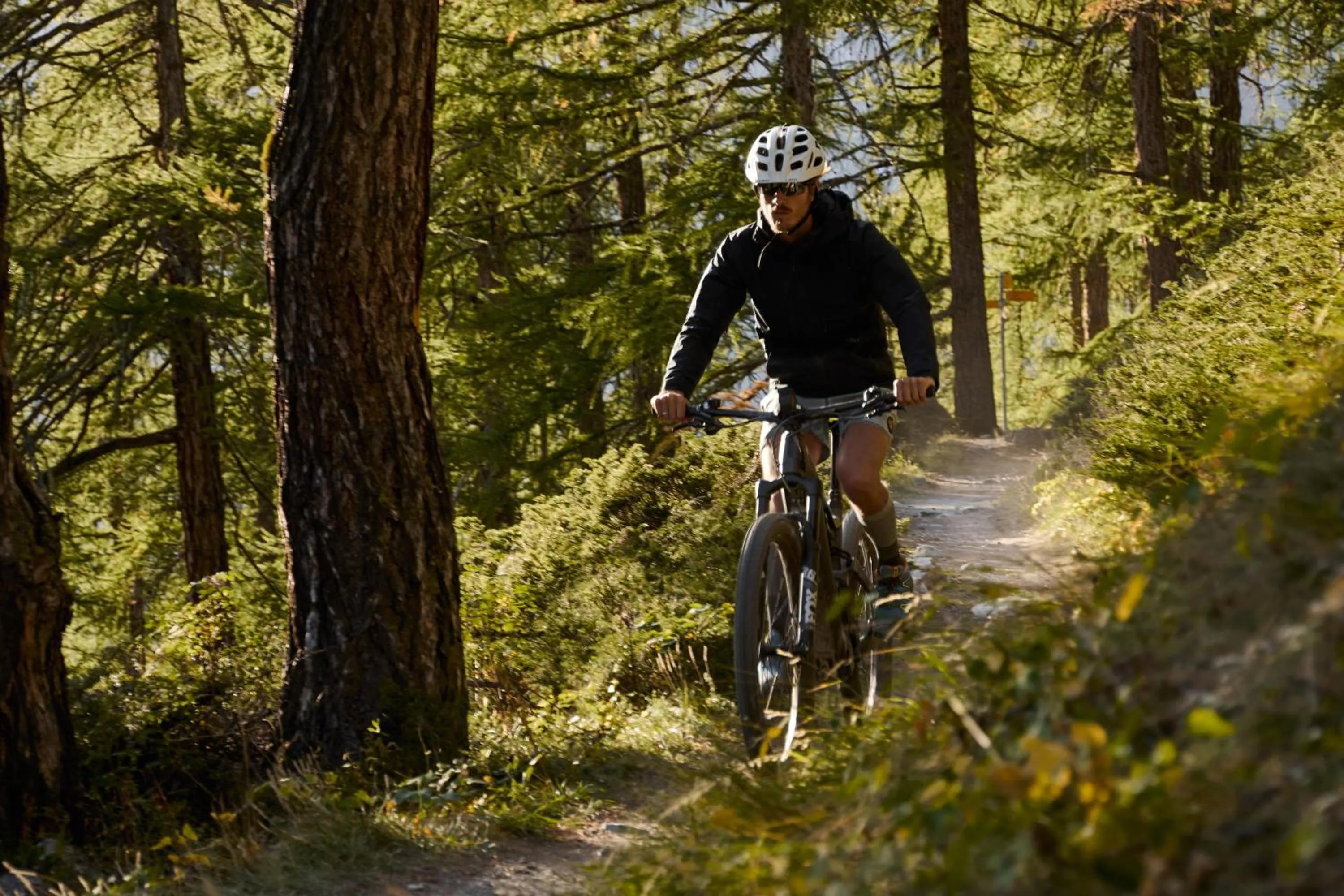 Horseback Riding in SchlossHotel Zermatt Active & CBD Spa Hotel