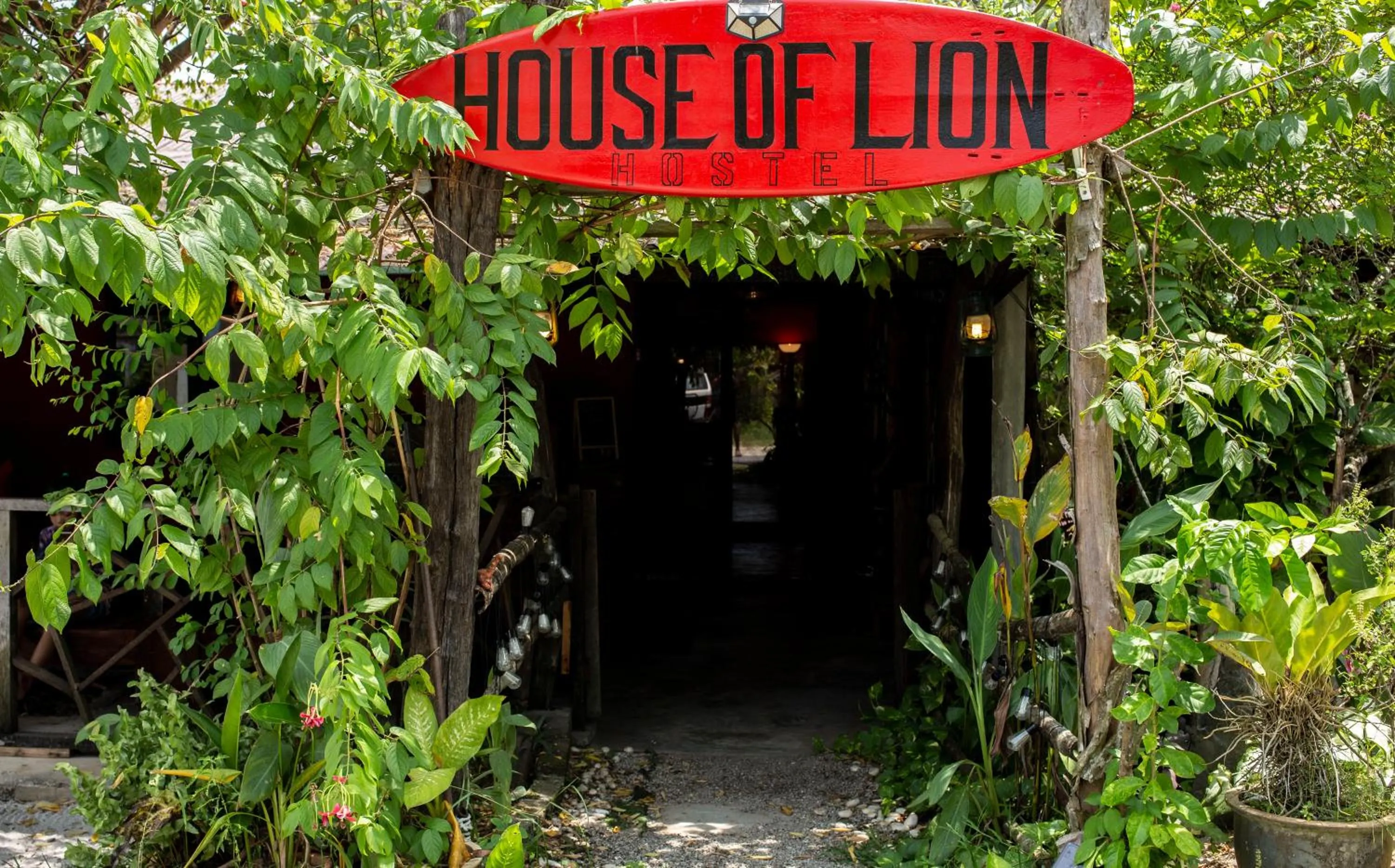 House of Lion Hostel