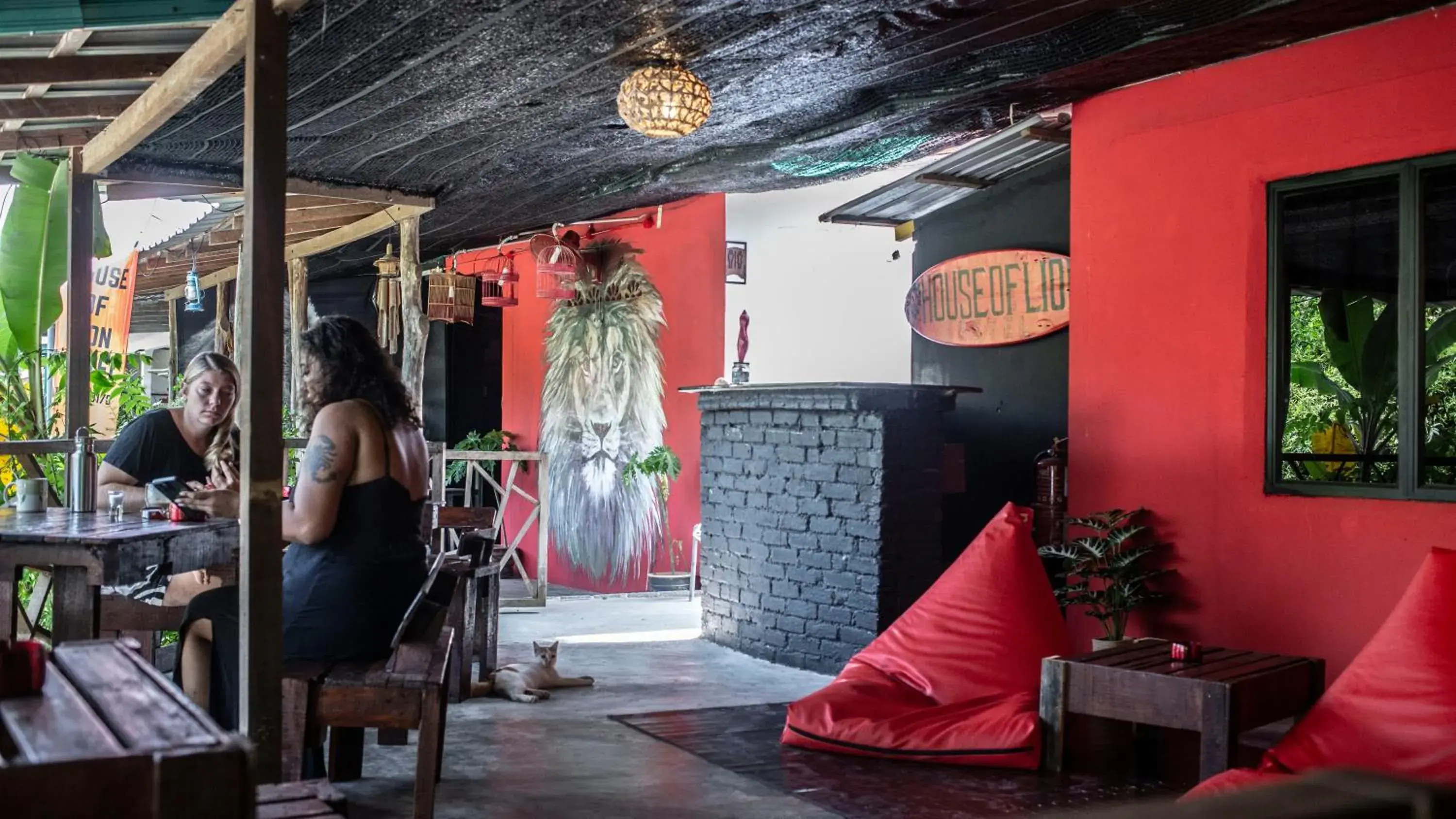 House of Lion Hostel House of Lion Hostel