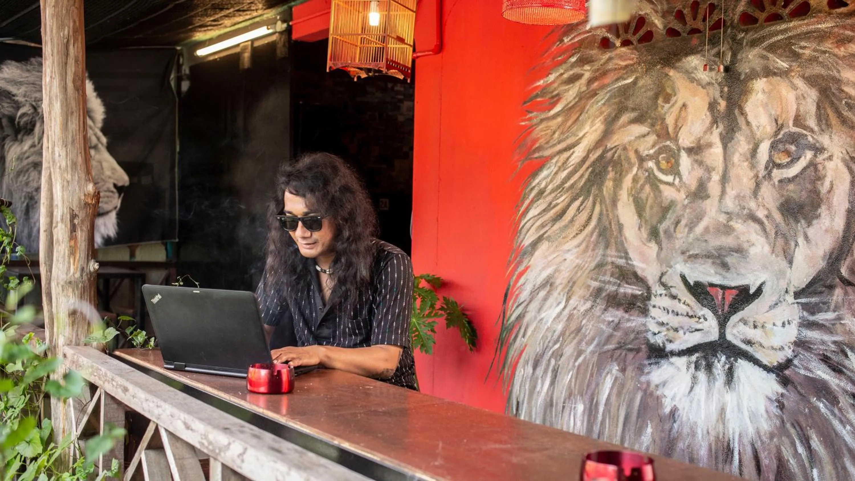 House of Lion Hostel
