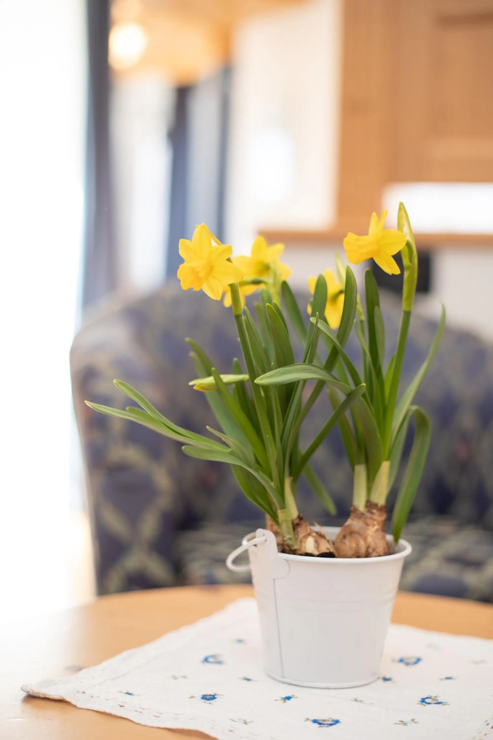 Decorative detail in Hotel Siror