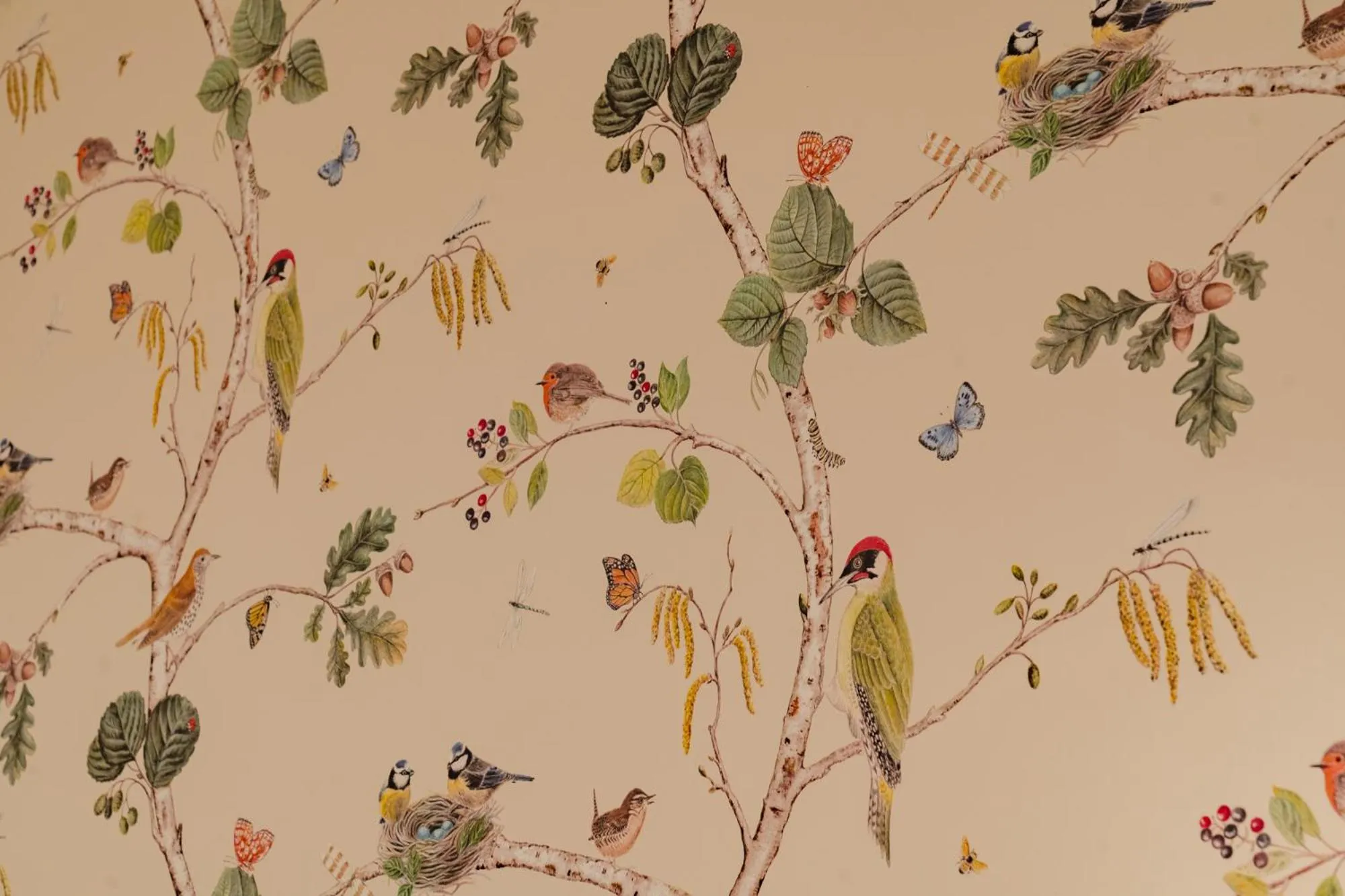 Hotel & Gasthaus Backmulde