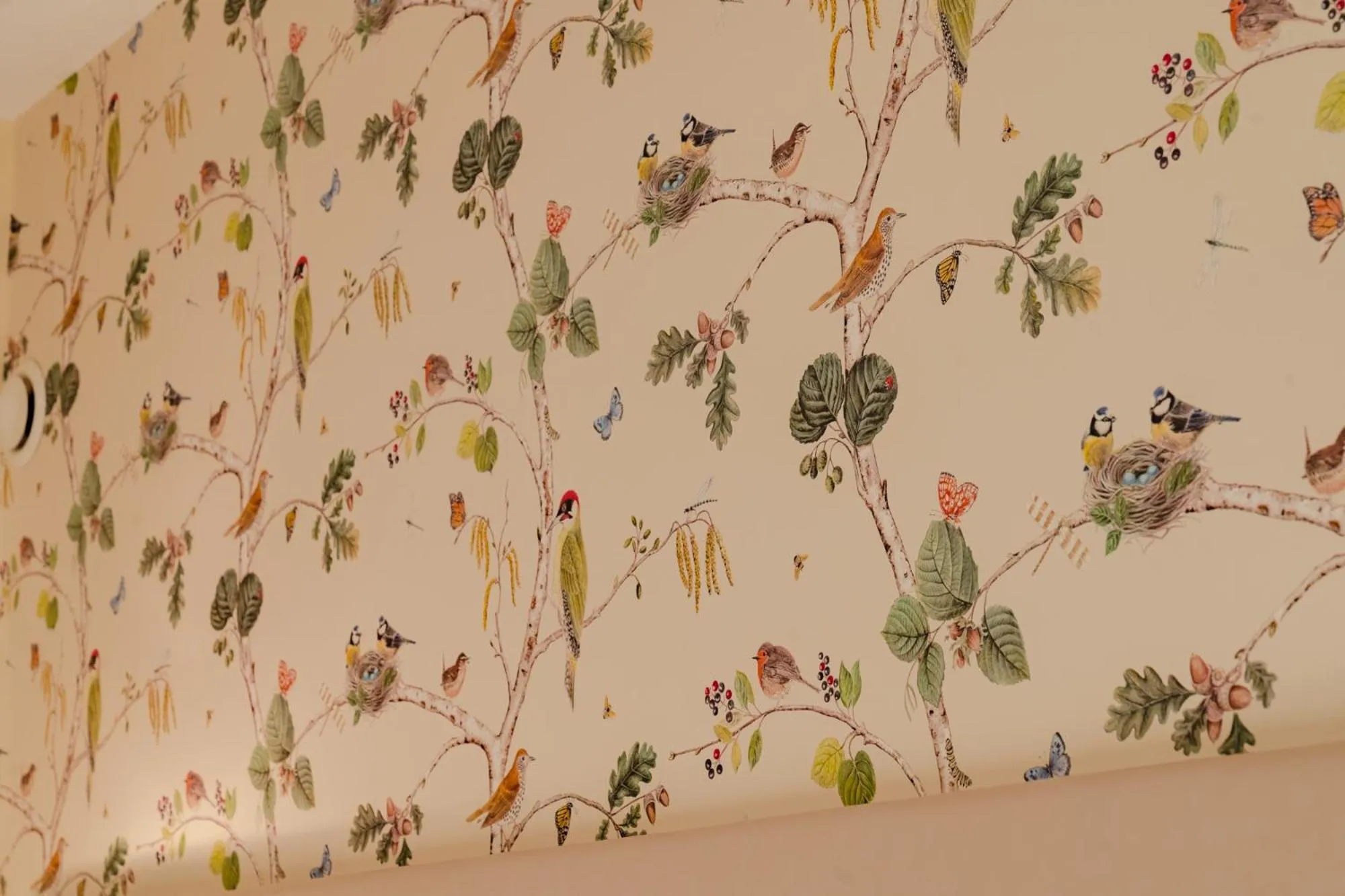 Hotel & Gasthaus Backmulde