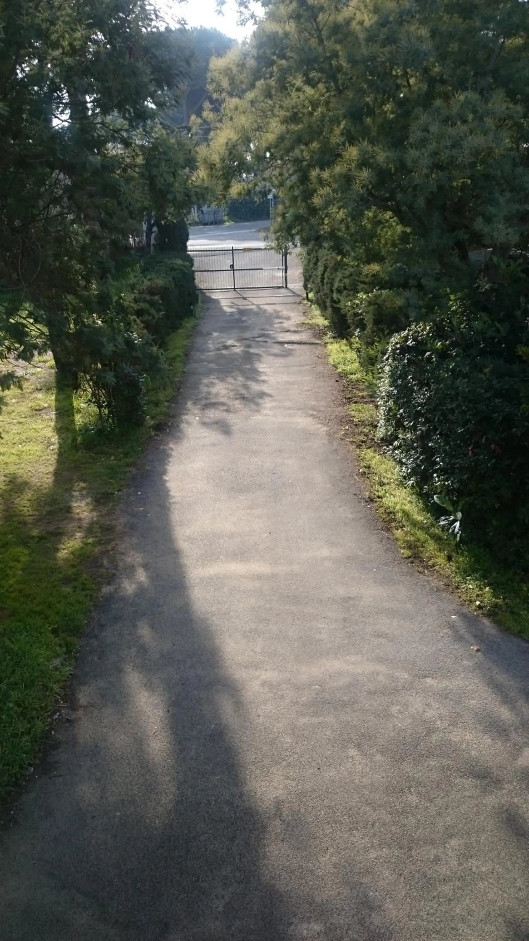 Property building in Edvige'S House