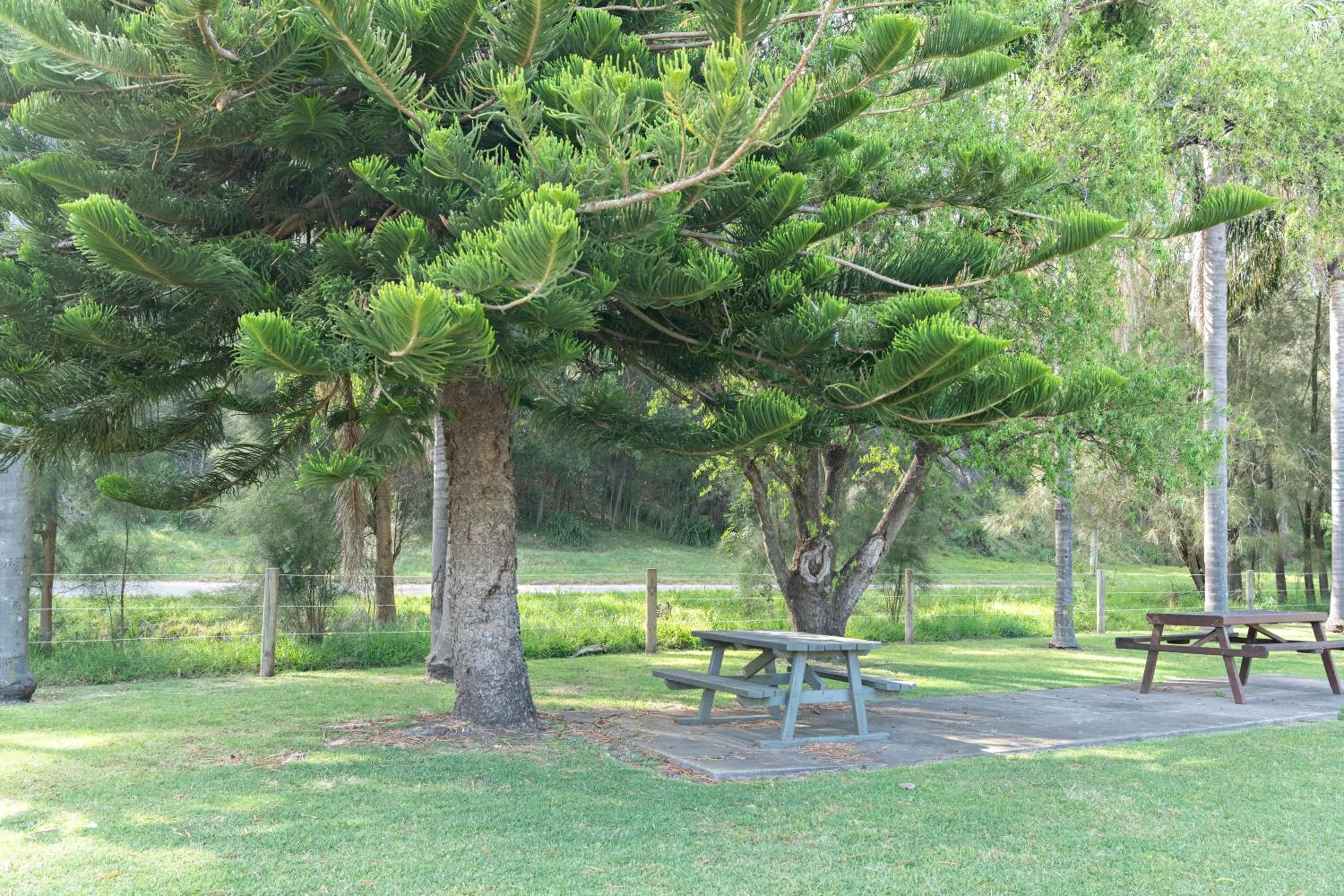 BBQ facilities in Barlings Beach Holiday Park
