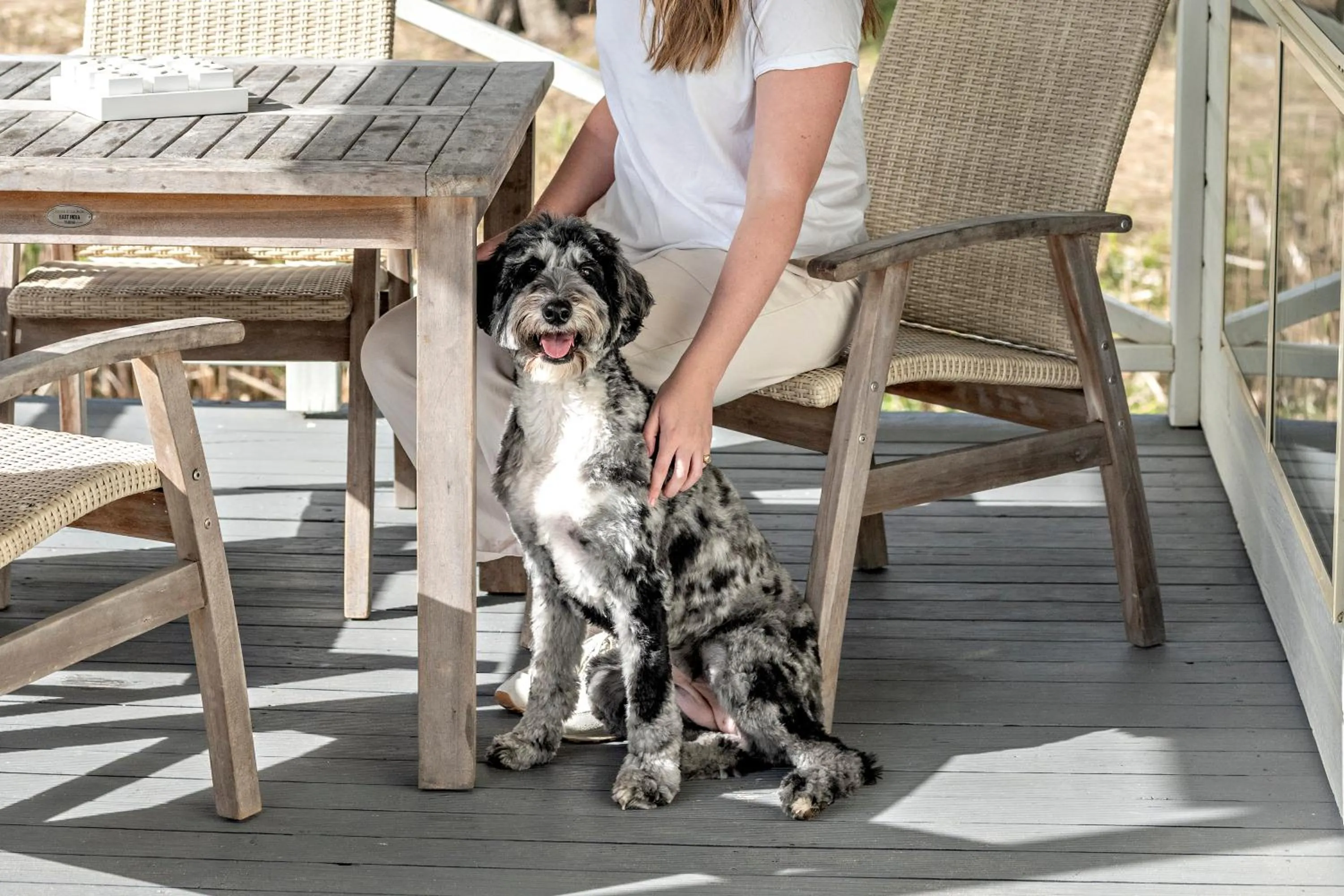 pet friendly in Barlings Beach Holiday Park