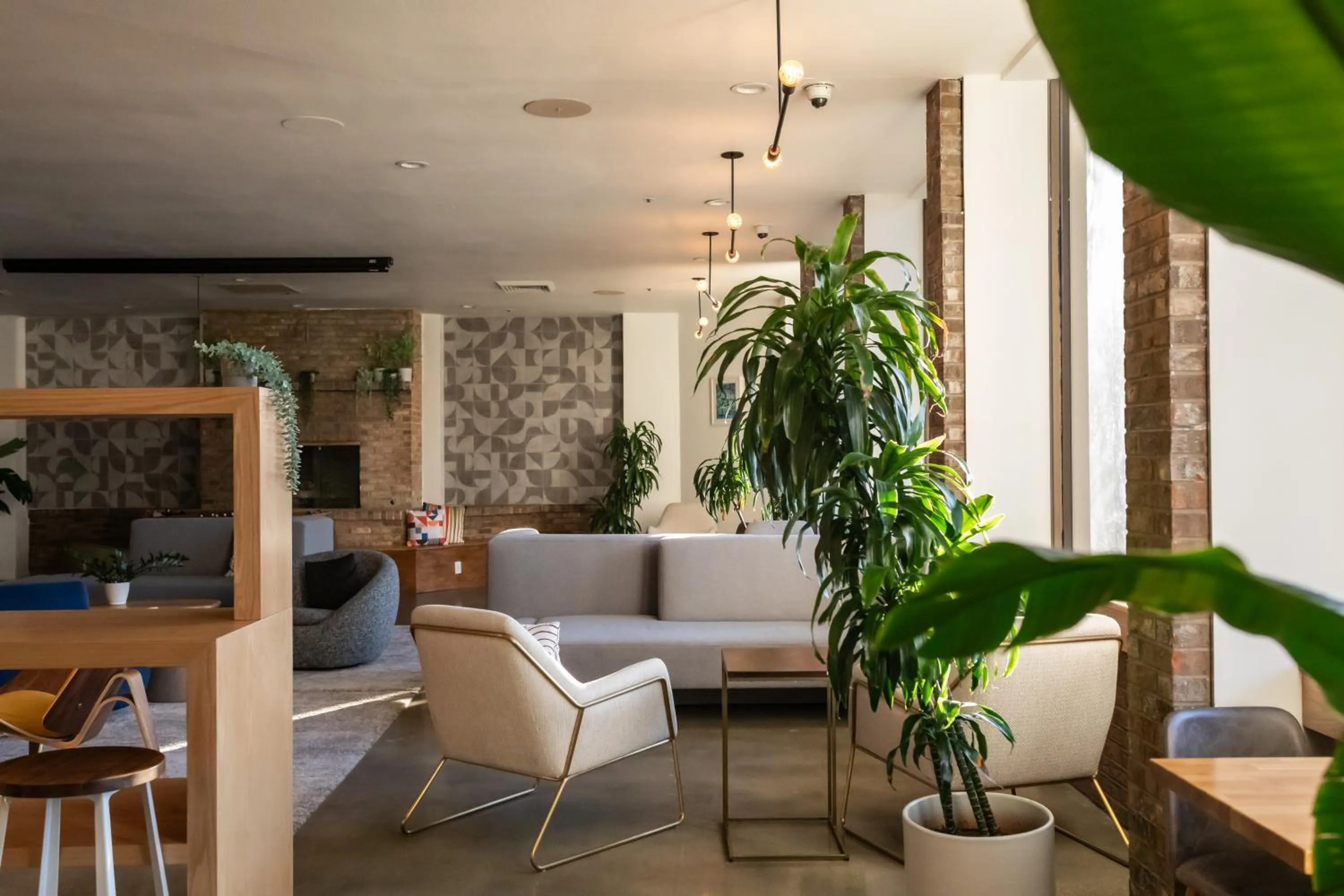 Restaurant/places to eat in Hotel Burbank