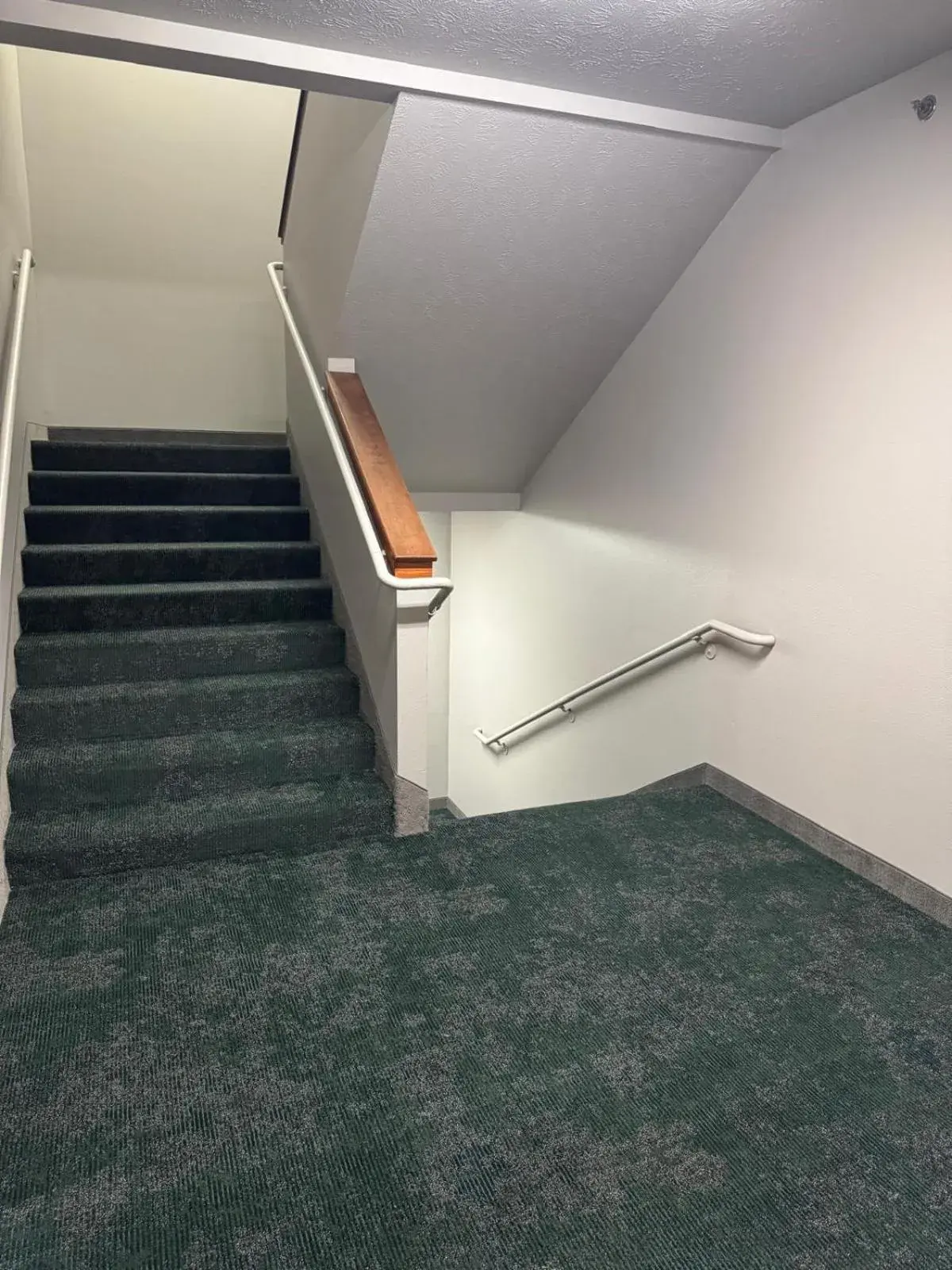 Property building in Wyndham Garden Anchorage Airport Property building in Wyndham Garden Anchorage Airport