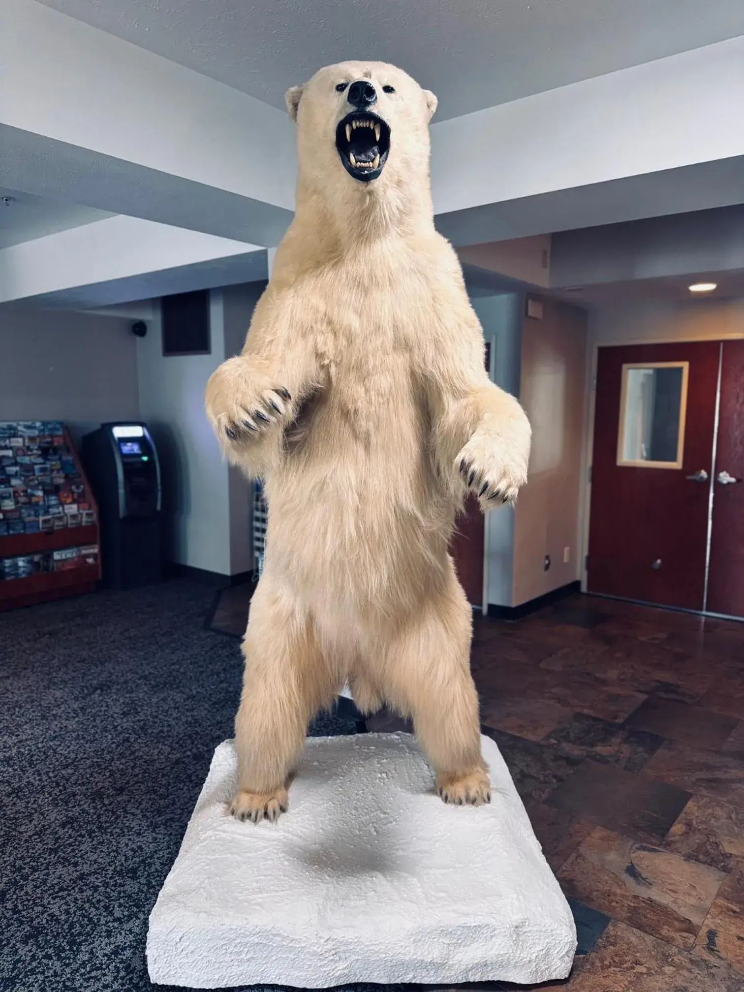 Lobby or reception in Wyndham Garden Anchorage Airport Lobby or reception in Wyndham Garden Anchorage Airport